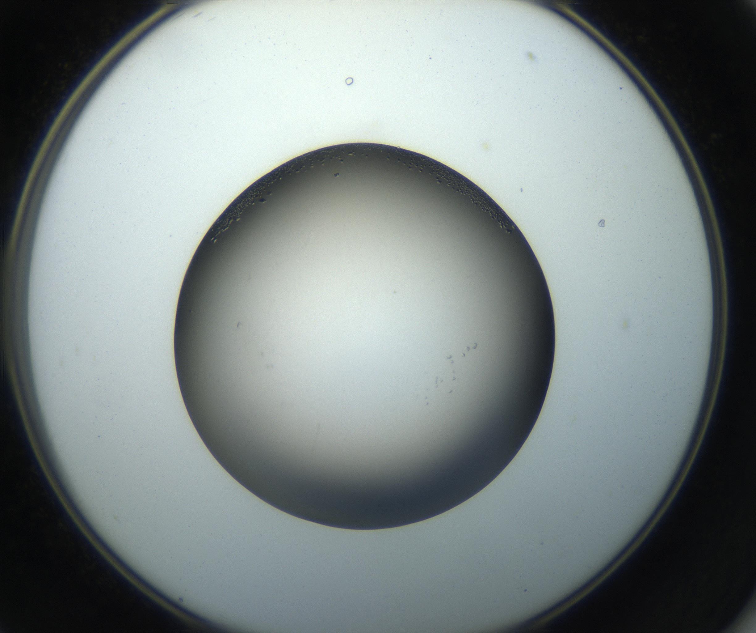 RI01_03_000_0212_Proj1_Clon1_MC_0000MC102861_002_161007_11_05_02_00_99_002_001_RAI.jpg