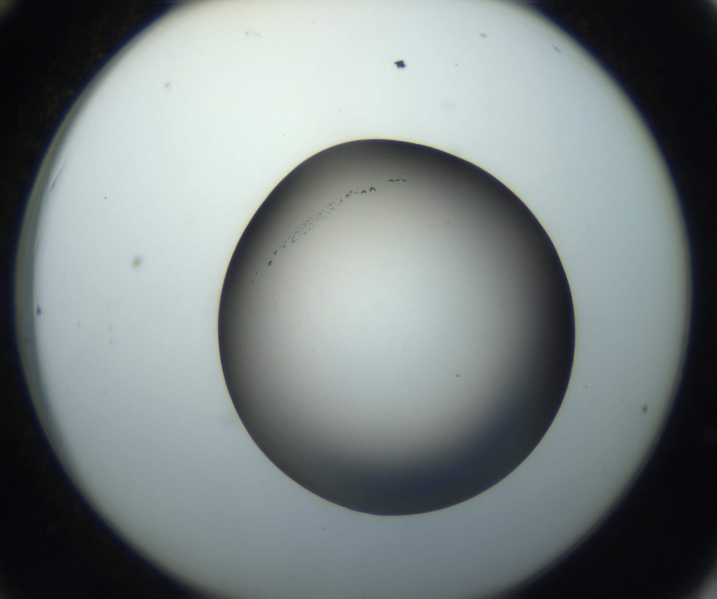 RI01_03_000_0212_Proj1_Clon1_MC_0000MC102861_002_161007_12_03_02_00_99_002_001_RAI.jpg