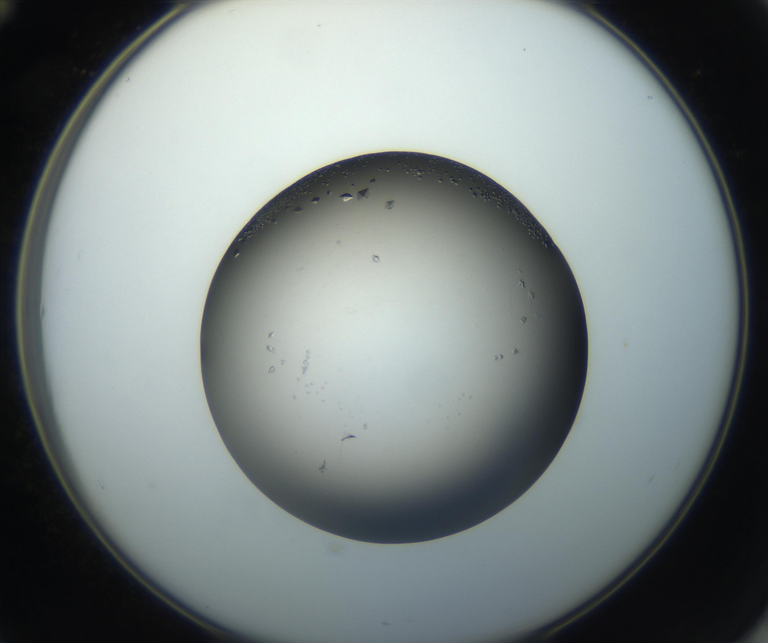 RI01_03_000_0212_Proj1_Clon1_MC_0000MC102861_002_161007_12_05_02_00_99_002_001_RAI.jpg