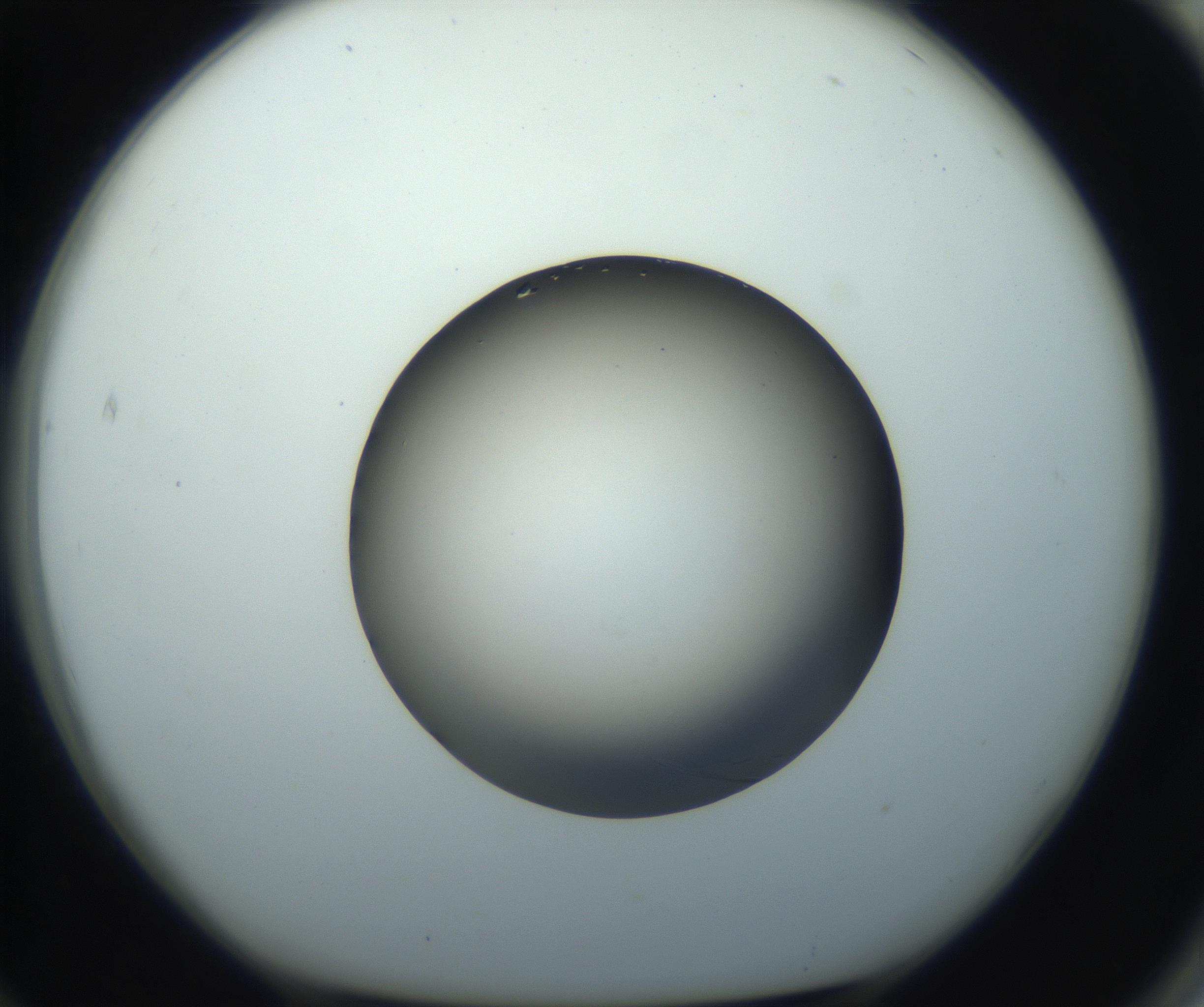 RI01_03_000_0212_Proj1_Clon1_MC_0000MC102861_002_161007_12_07_01_00_99_002_001_RAI.jpg