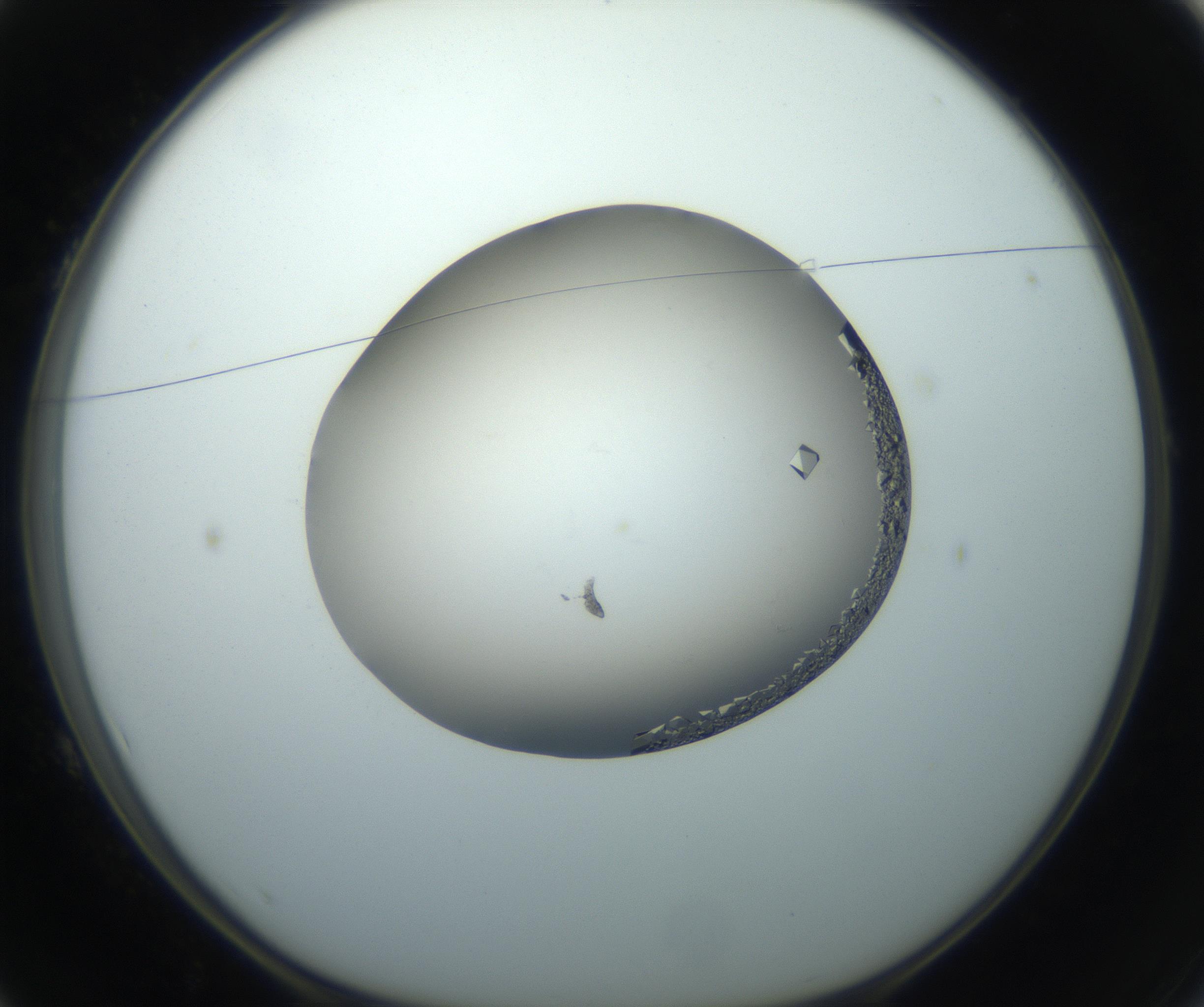 RI01_03_000_0212_Proj1_Clon1_MC_0000MC102862_002_161007_01_01_01_00_99_002_001_RAI.jpg
