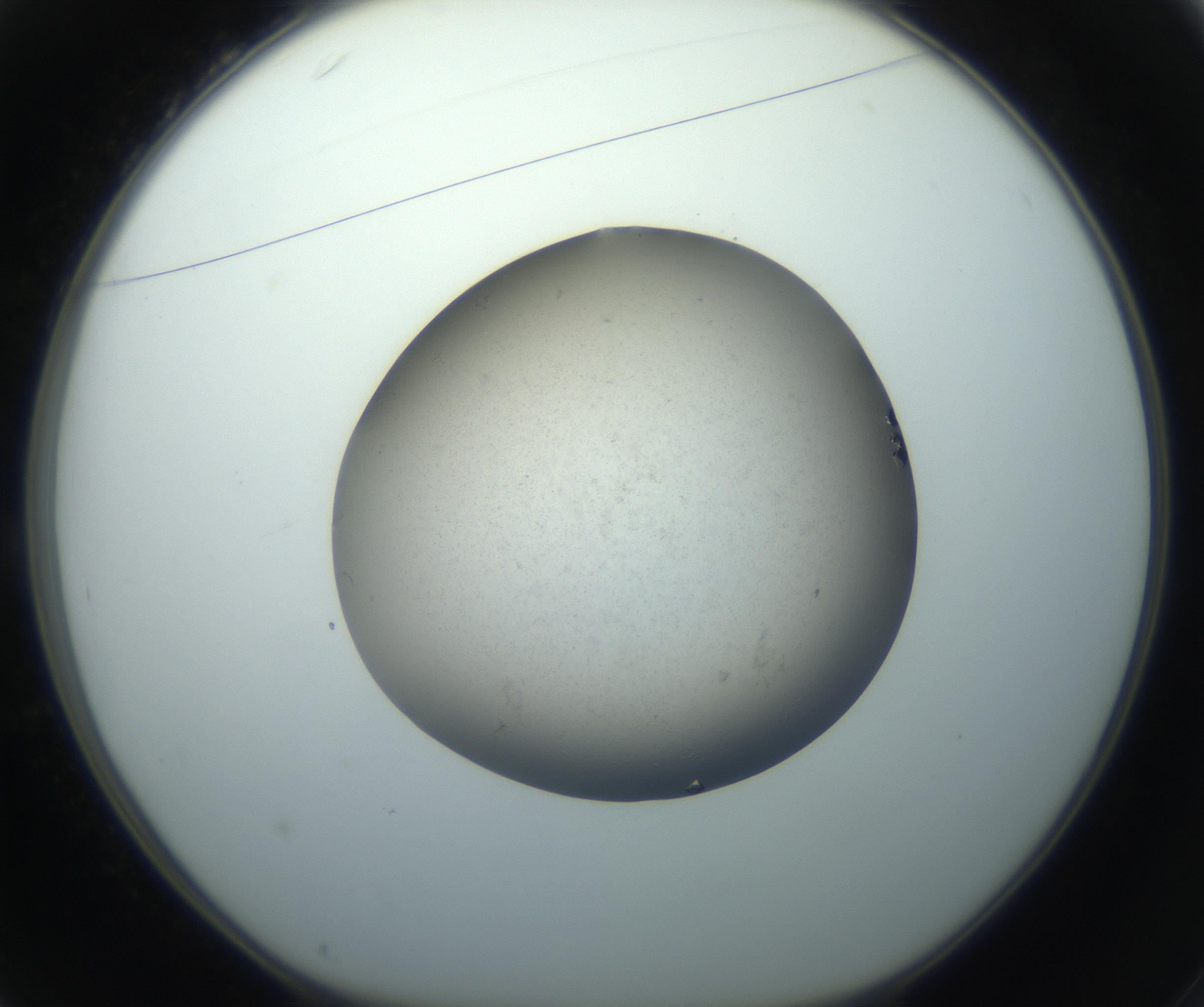 RI01_03_000_0212_Proj1_Clon1_MC_0000MC102862_002_161007_01_03_01_00_99_002_001_RAI.jpg