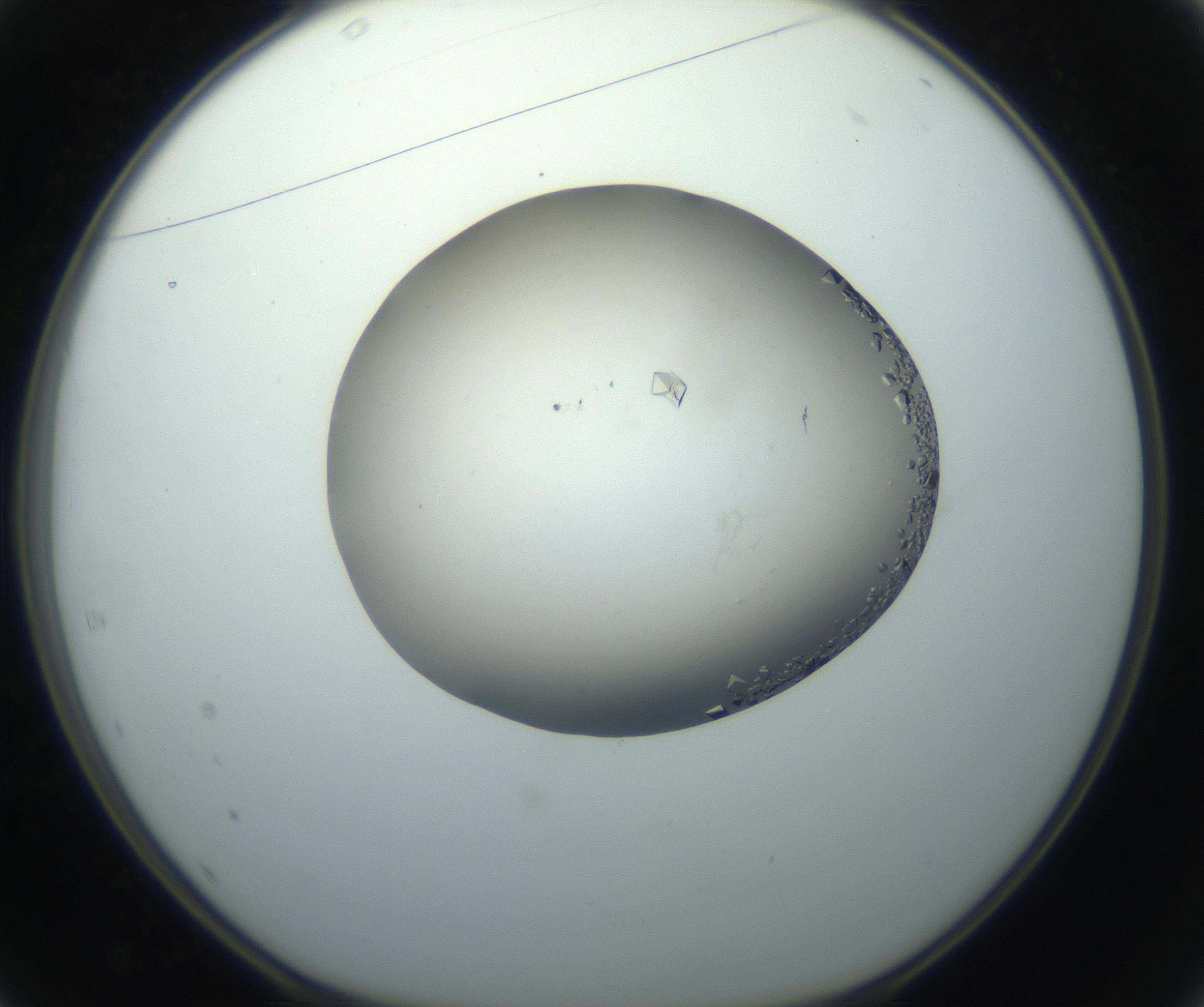 RI01_03_000_0212_Proj1_Clon1_MC_0000MC102862_002_161007_01_04_01_00_99_002_001_RAI.jpg