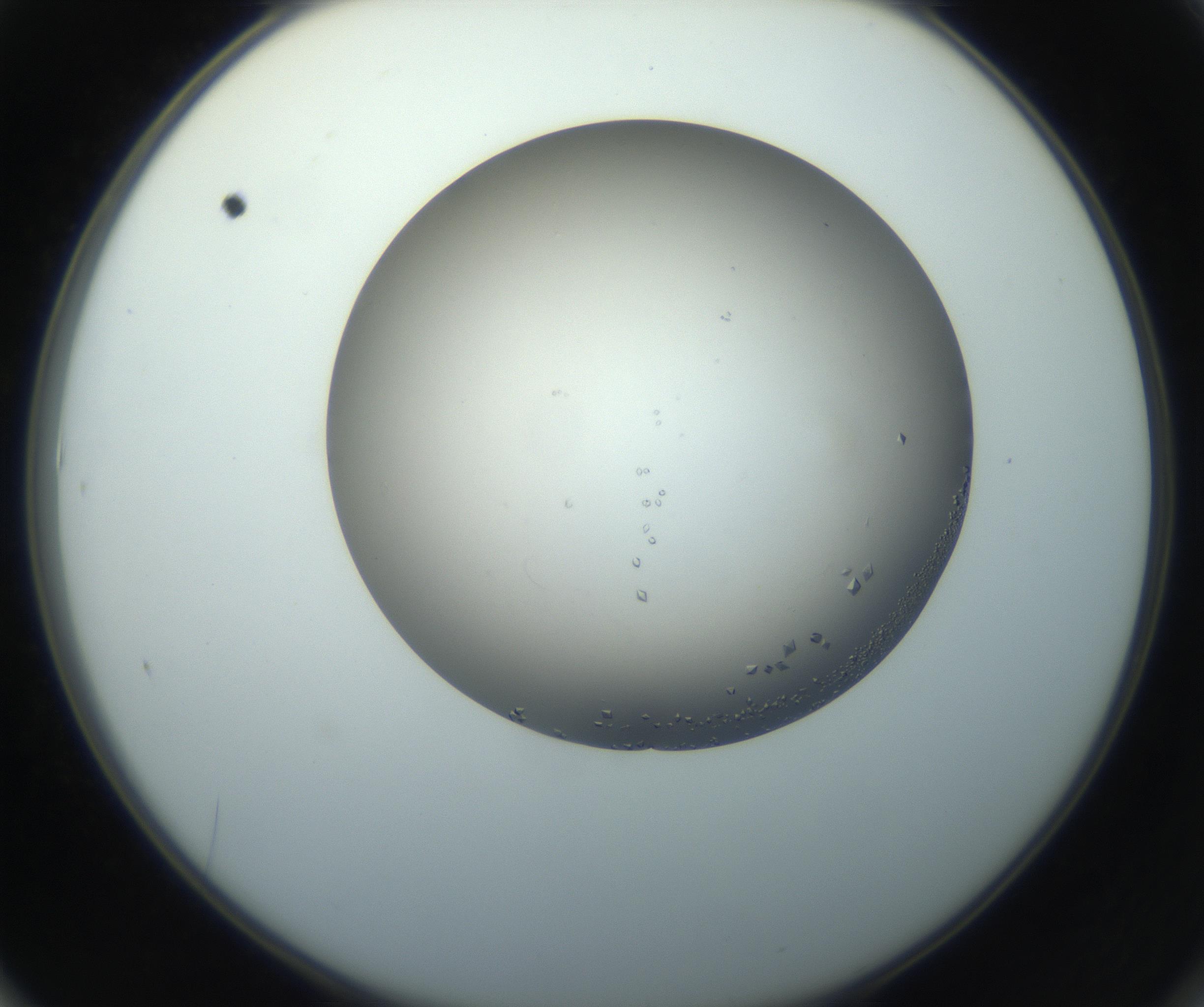 RI01_03_000_0212_Proj1_Clon1_MC_0000MC102862_002_161007_01_06_02_00_99_002_001_RAI.jpg