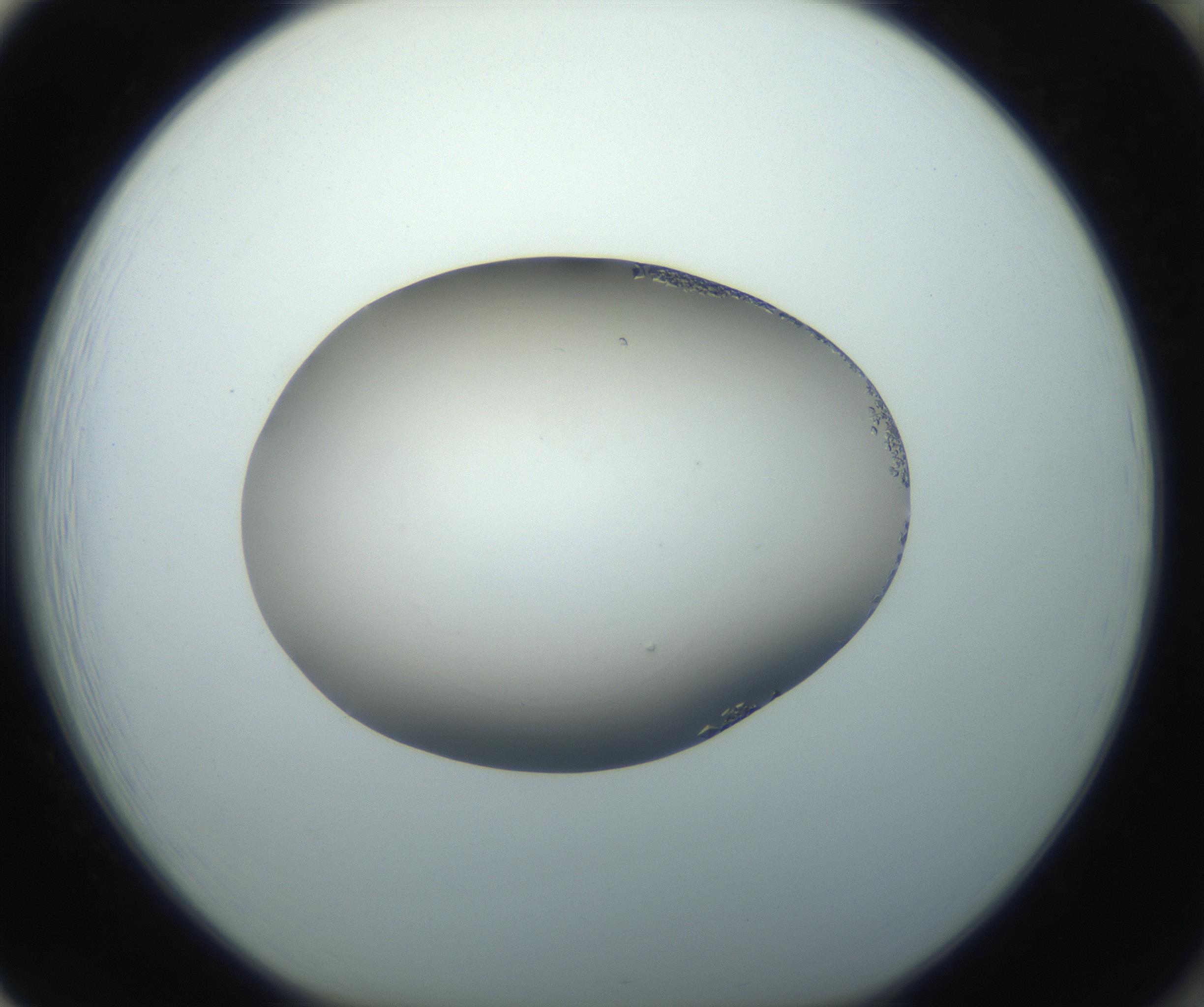 RI01_03_000_0212_Proj1_Clon1_MC_0000MC102862_002_161007_01_08_01_00_99_002_001_RAI.jpg