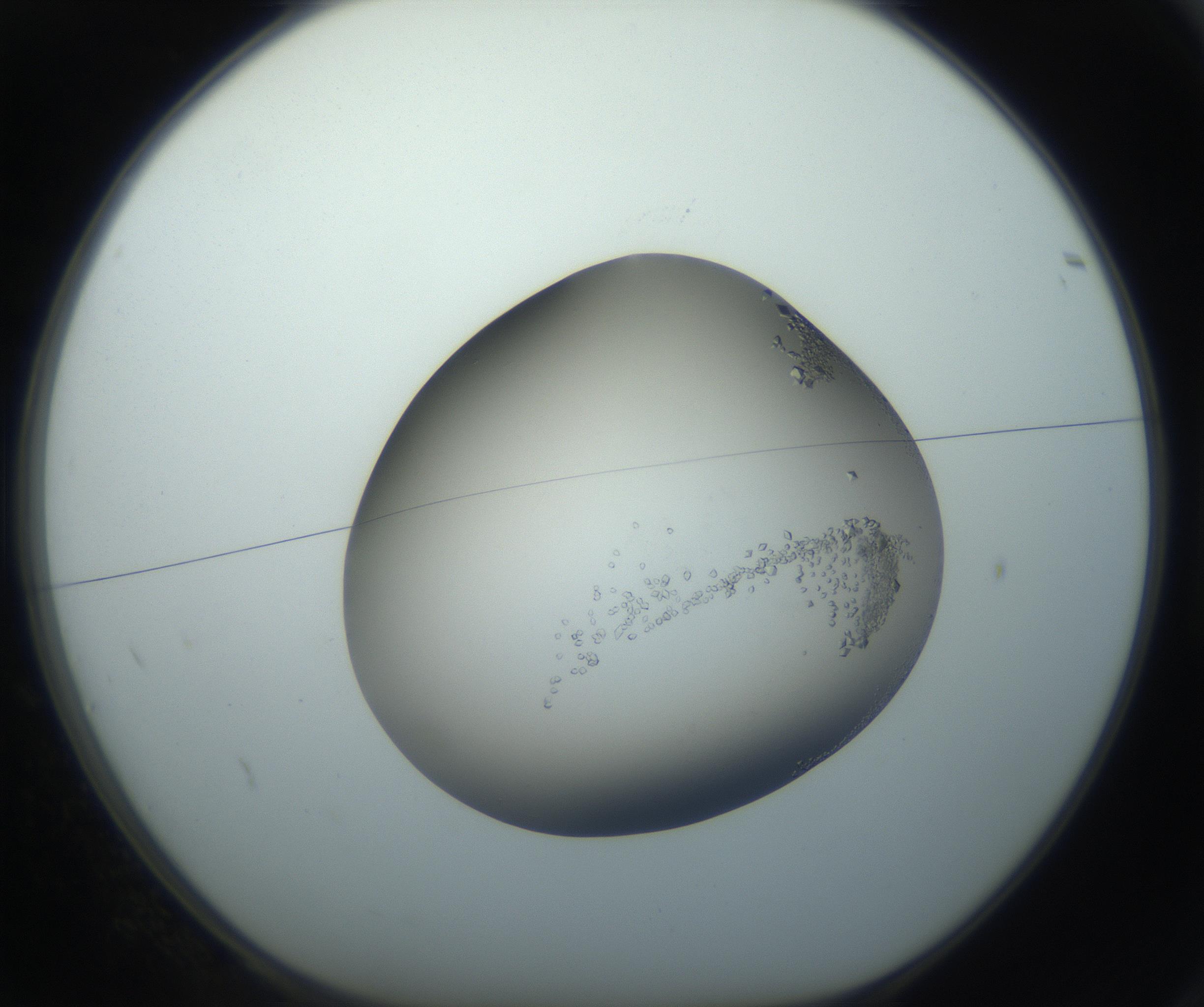 RI01_03_000_0212_Proj1_Clon1_MC_0000MC102862_002_161007_02_01_01_00_99_002_001_RAI.jpg