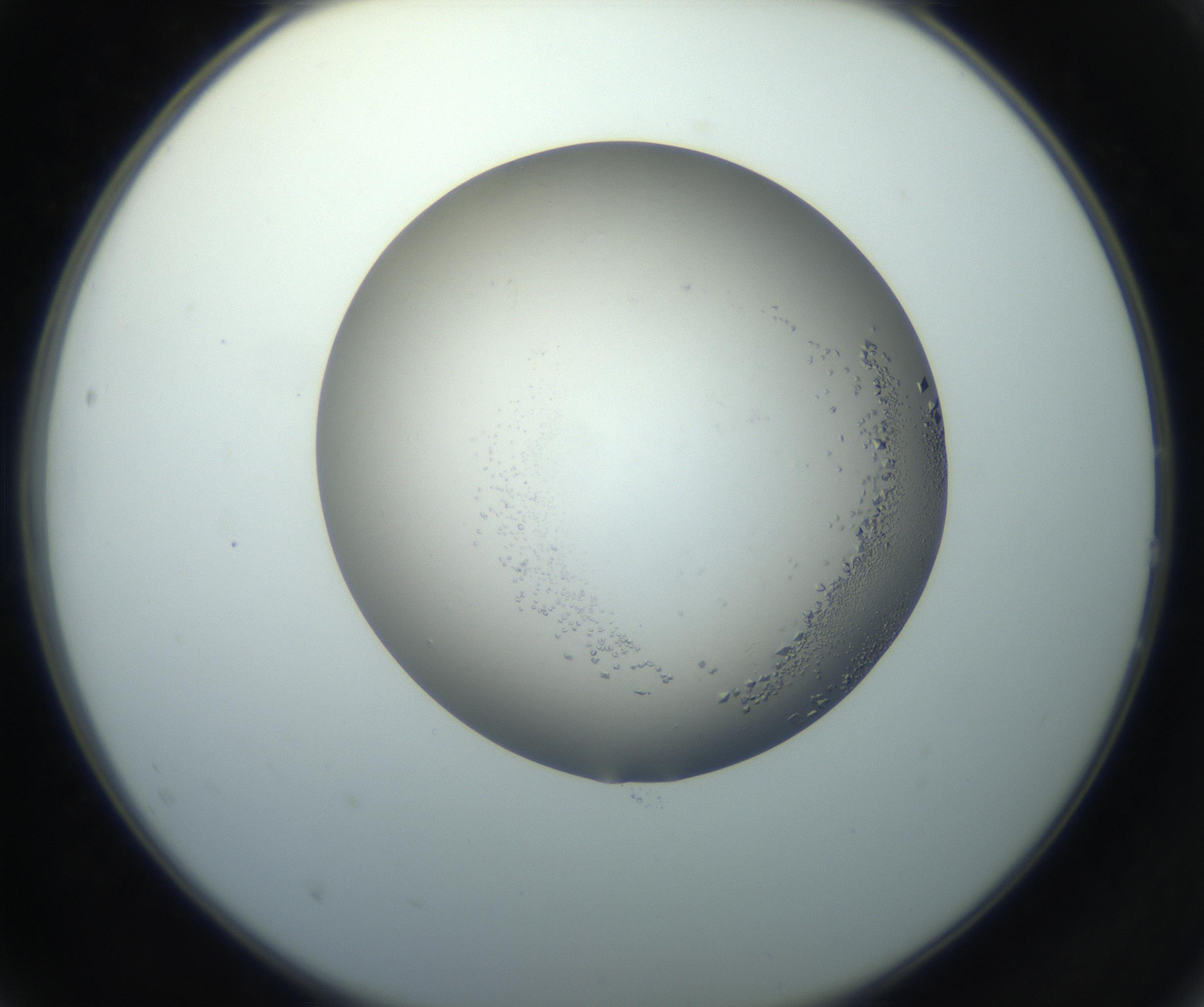 RI01_03_000_0212_Proj1_Clon1_MC_0000MC102862_002_161007_02_02_02_00_99_002_001_RAI.jpg