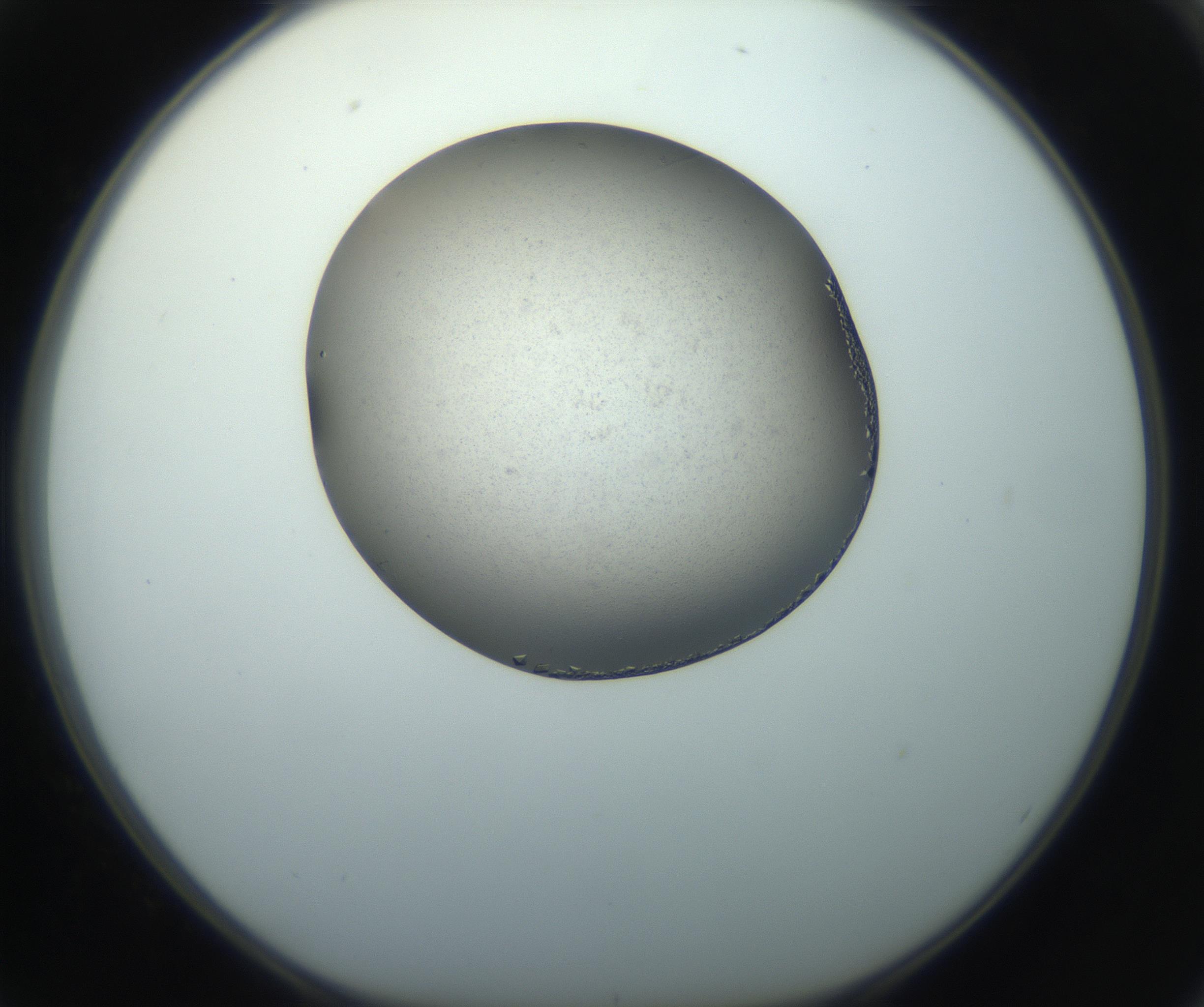 RI01_03_000_0212_Proj1_Clon1_MC_0000MC102862_002_161007_02_06_01_00_99_002_001_RAI.jpg