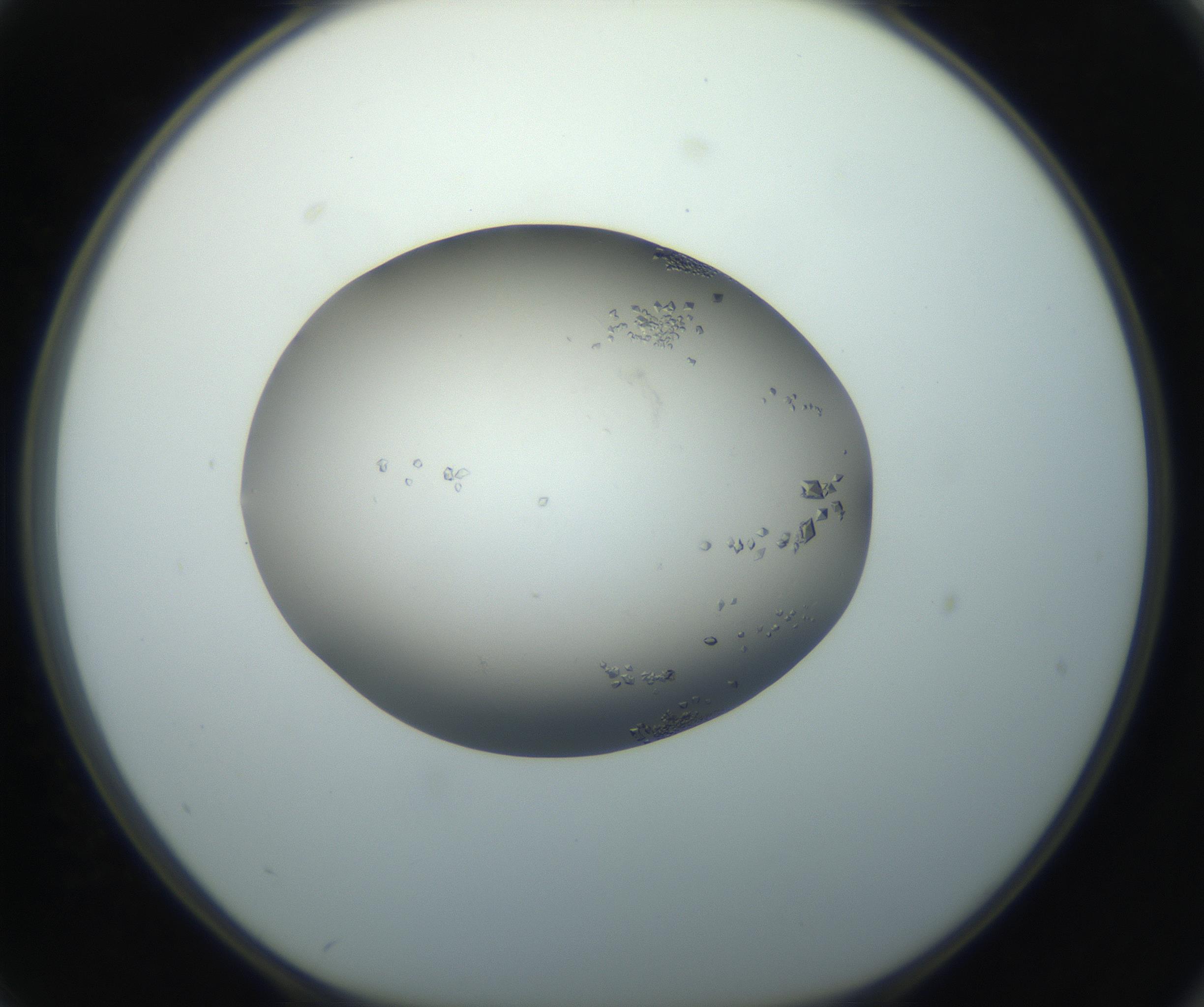 RI01_03_000_0212_Proj1_Clon1_MC_0000MC102862_002_161007_02_07_01_00_99_002_001_RAI.jpg