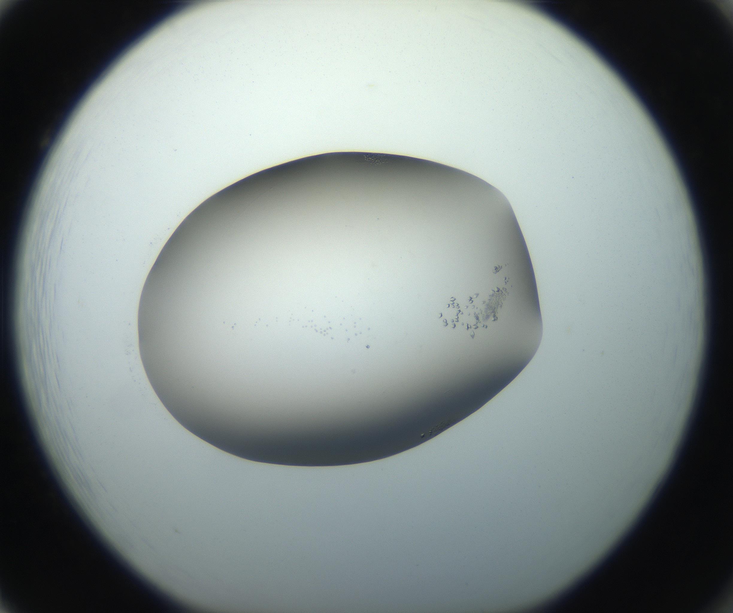 RI01_03_000_0212_Proj1_Clon1_MC_0000MC102862_002_161007_02_08_01_00_99_002_001_RAI.jpg