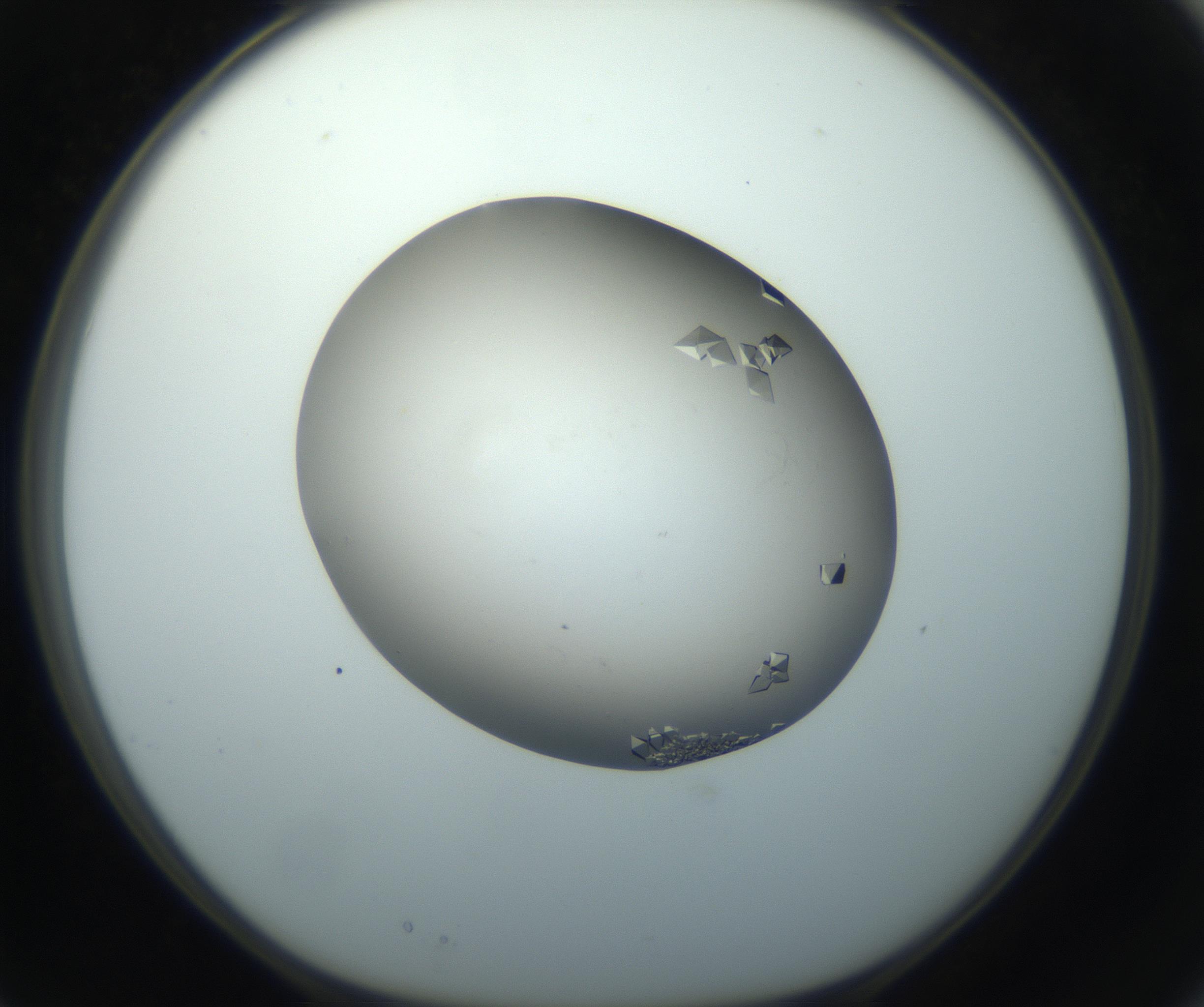 RI01_03_000_0212_Proj1_Clon1_MC_0000MC102862_002_161007_03_02_01_00_99_002_001_RAI.jpg