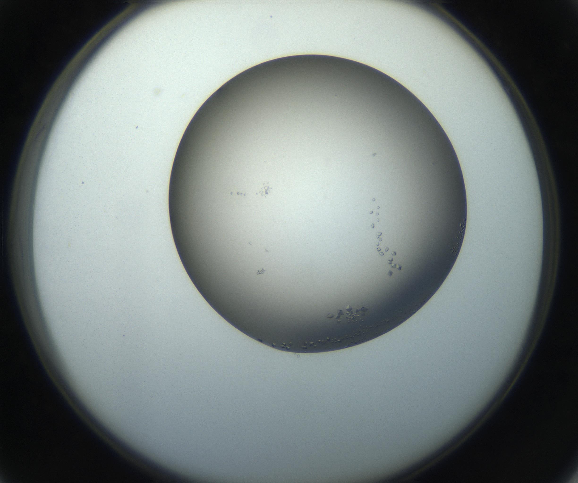 RI01_03_000_0212_Proj1_Clon1_MC_0000MC102862_002_161007_03_03_02_00_99_002_001_RAI.jpg