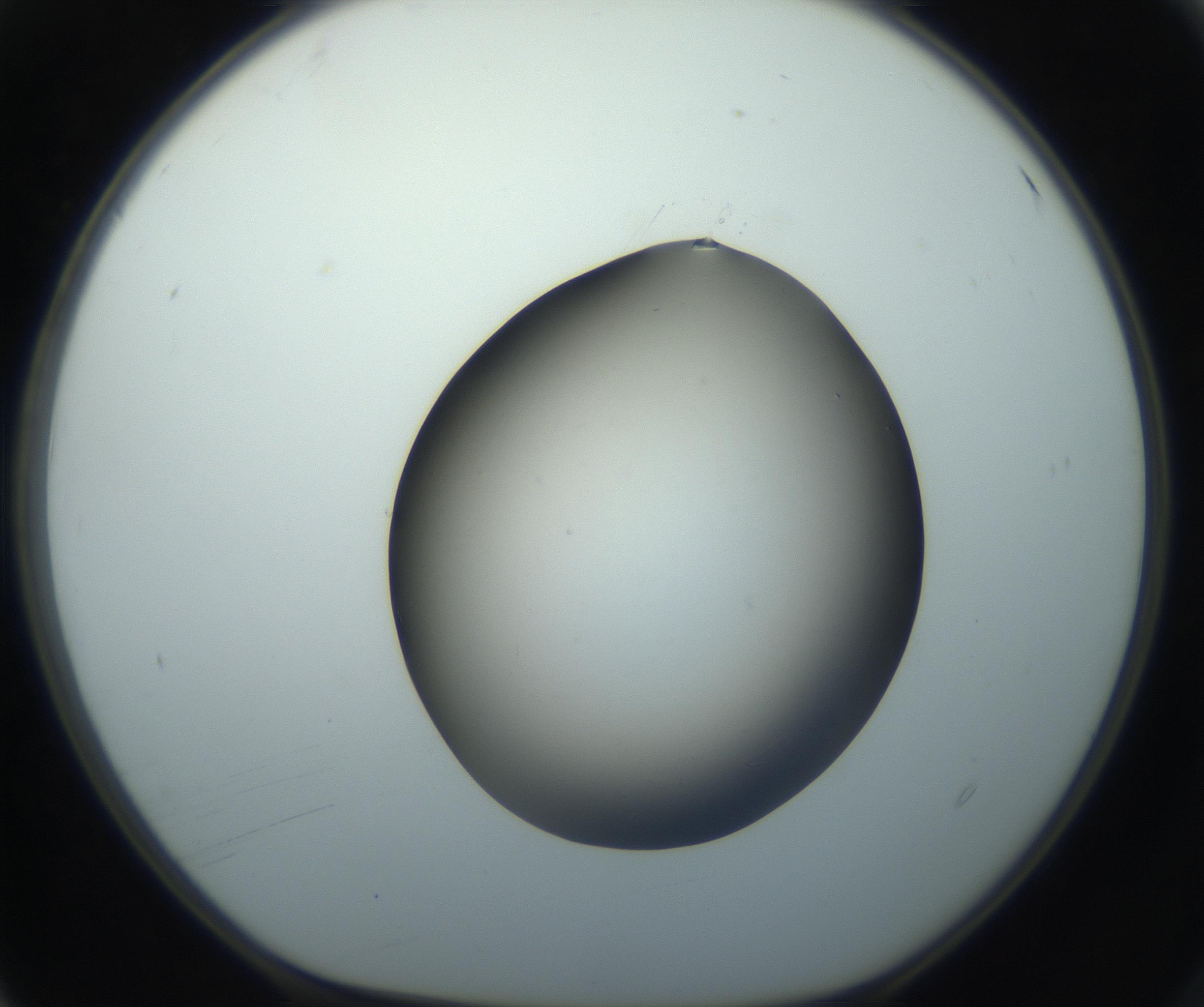 RI01_03_000_0212_Proj1_Clon1_MC_0000MC102862_002_161007_04_01_01_00_99_002_001_RAI.jpg