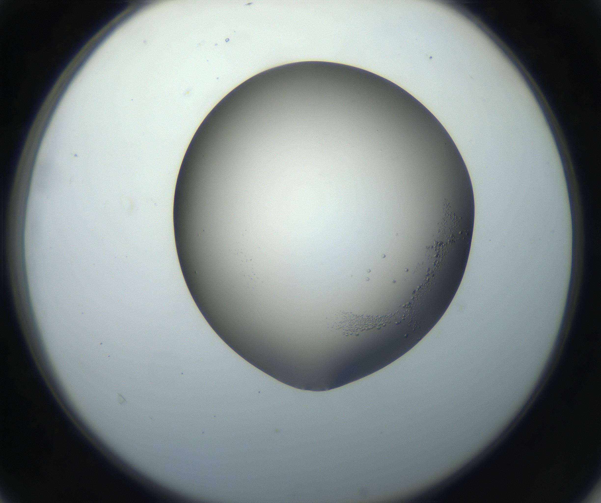 RI01_03_000_0212_Proj1_Clon1_MC_0000MC102862_002_161007_04_04_02_00_99_002_001_RAI.jpg