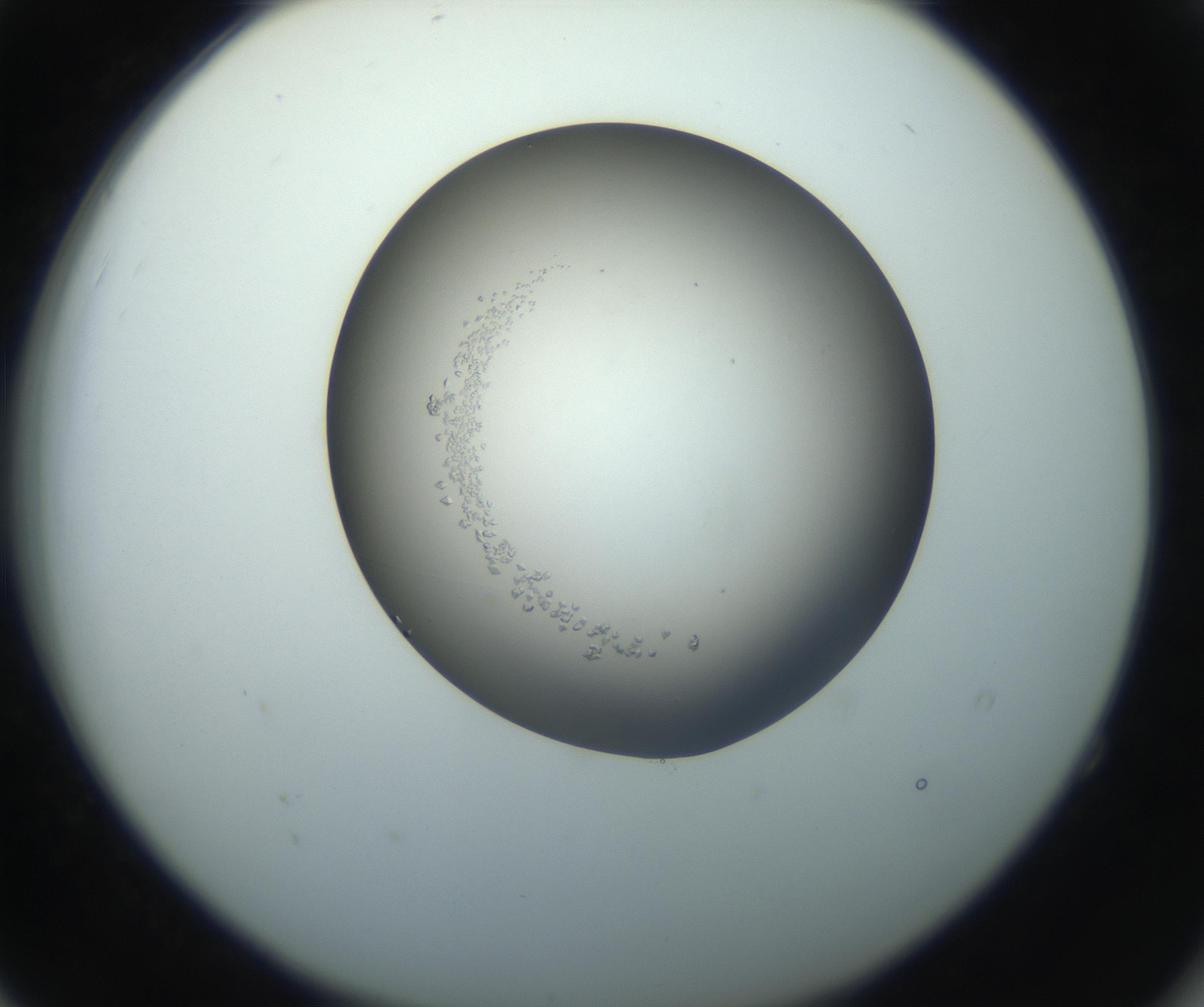 RI01_03_000_0212_Proj1_Clon1_MC_0000MC102862_002_161007_04_05_02_00_99_002_001_RAI.jpg