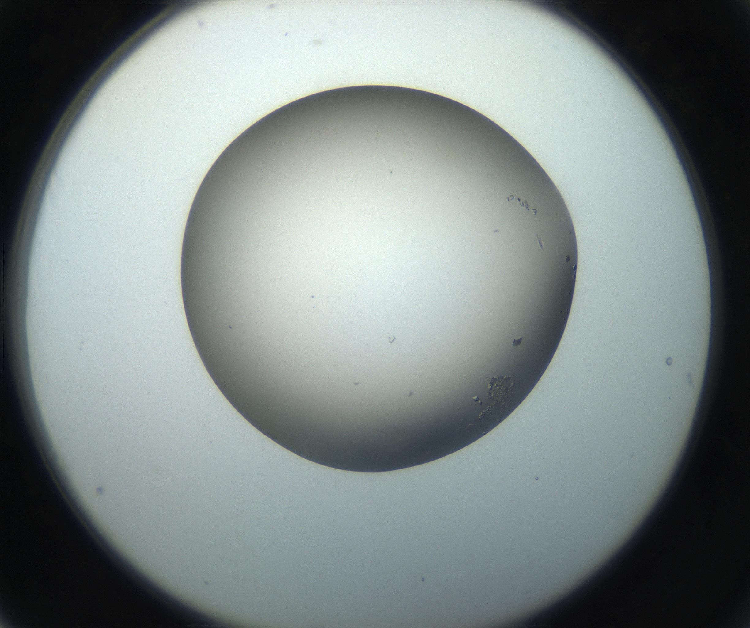RI01_03_000_0212_Proj1_Clon1_MC_0000MC102862_002_161007_04_07_02_00_99_002_001_RAI.jpg