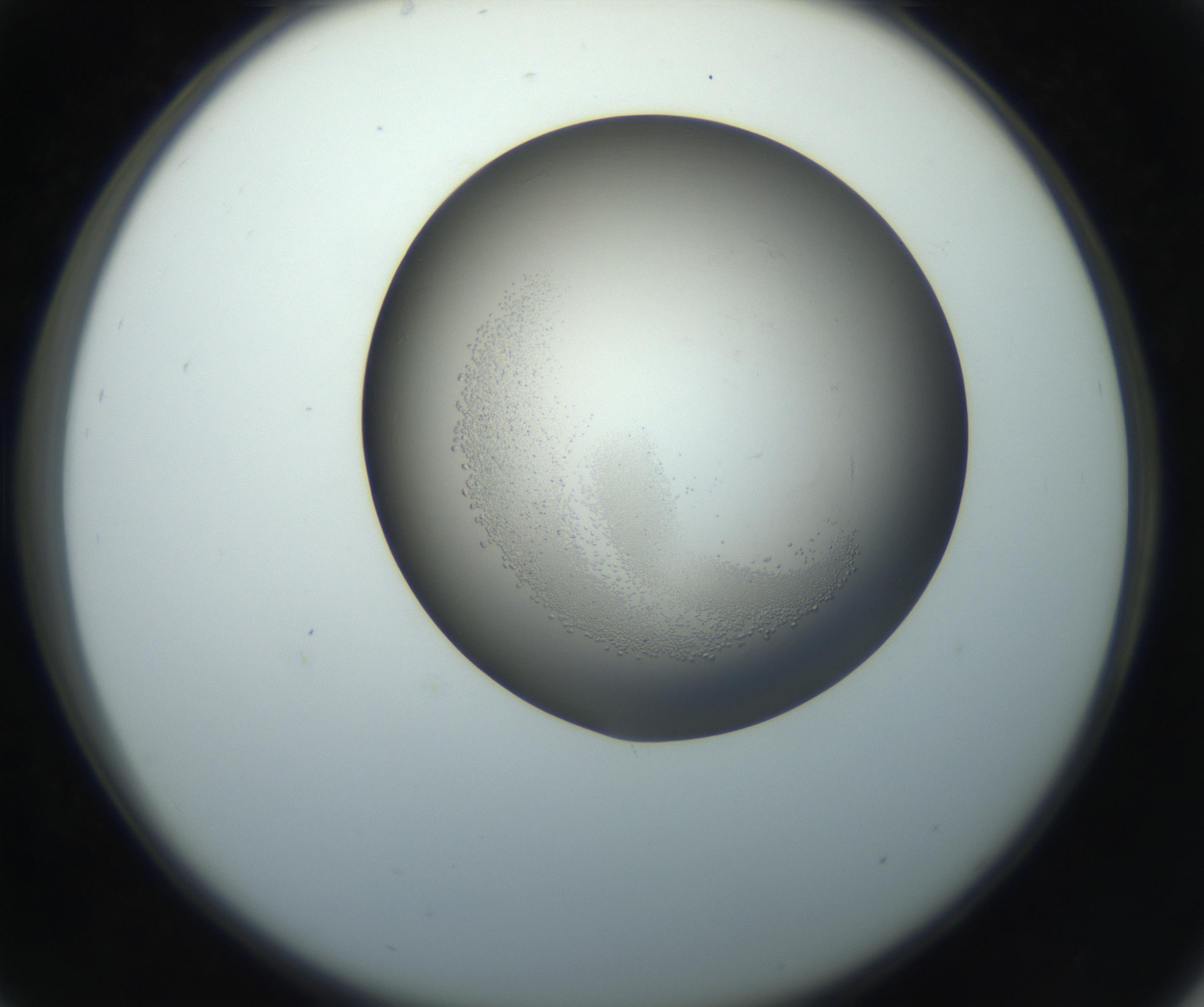 RI01_03_000_0212_Proj1_Clon1_MC_0000MC102862_002_161007_05_03_02_00_99_002_001_RAI.jpg
