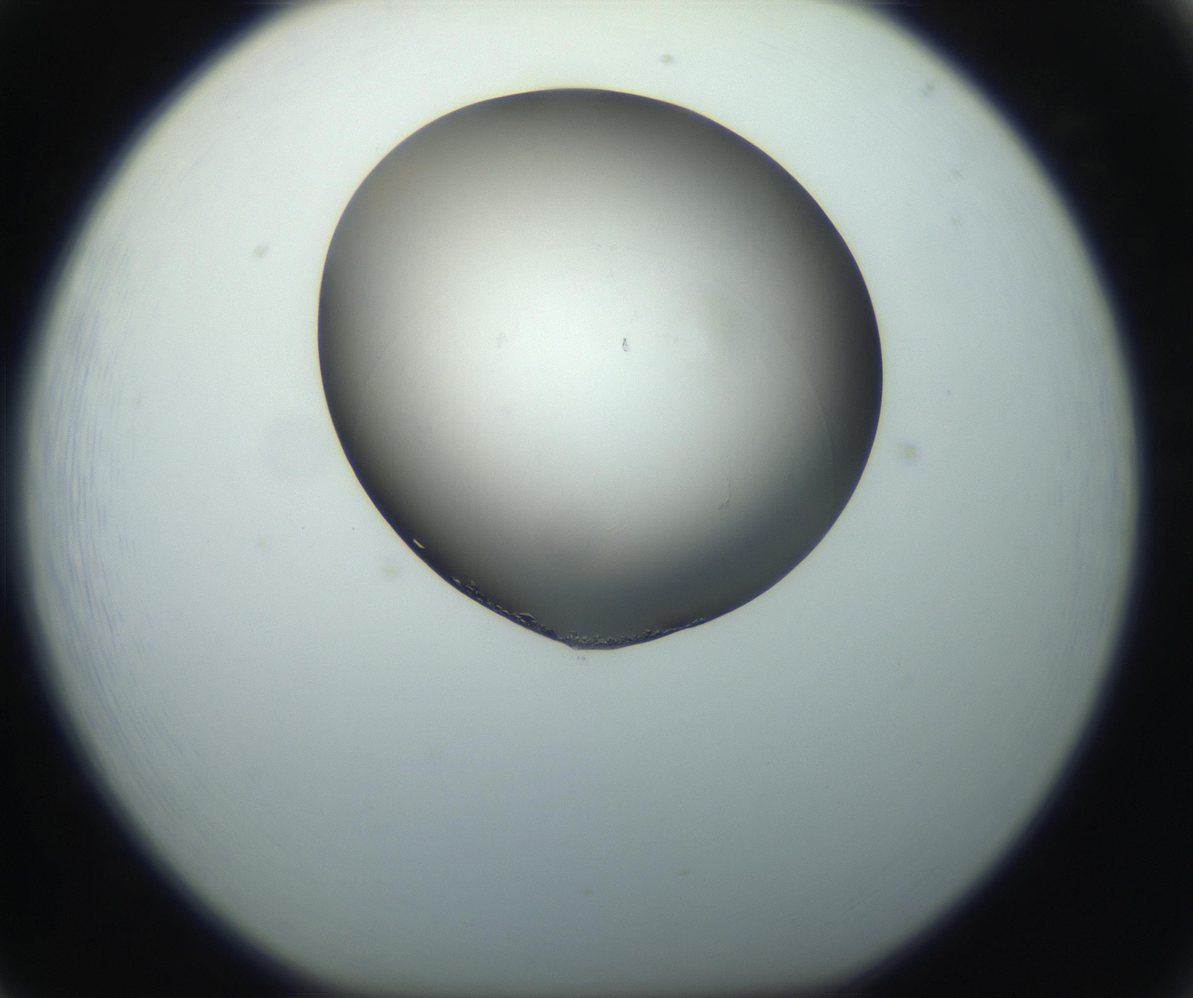RI01_03_000_0212_Proj1_Clon1_MC_0000MC102862_002_161007_05_06_01_00_99_002_001_RAI.jpg