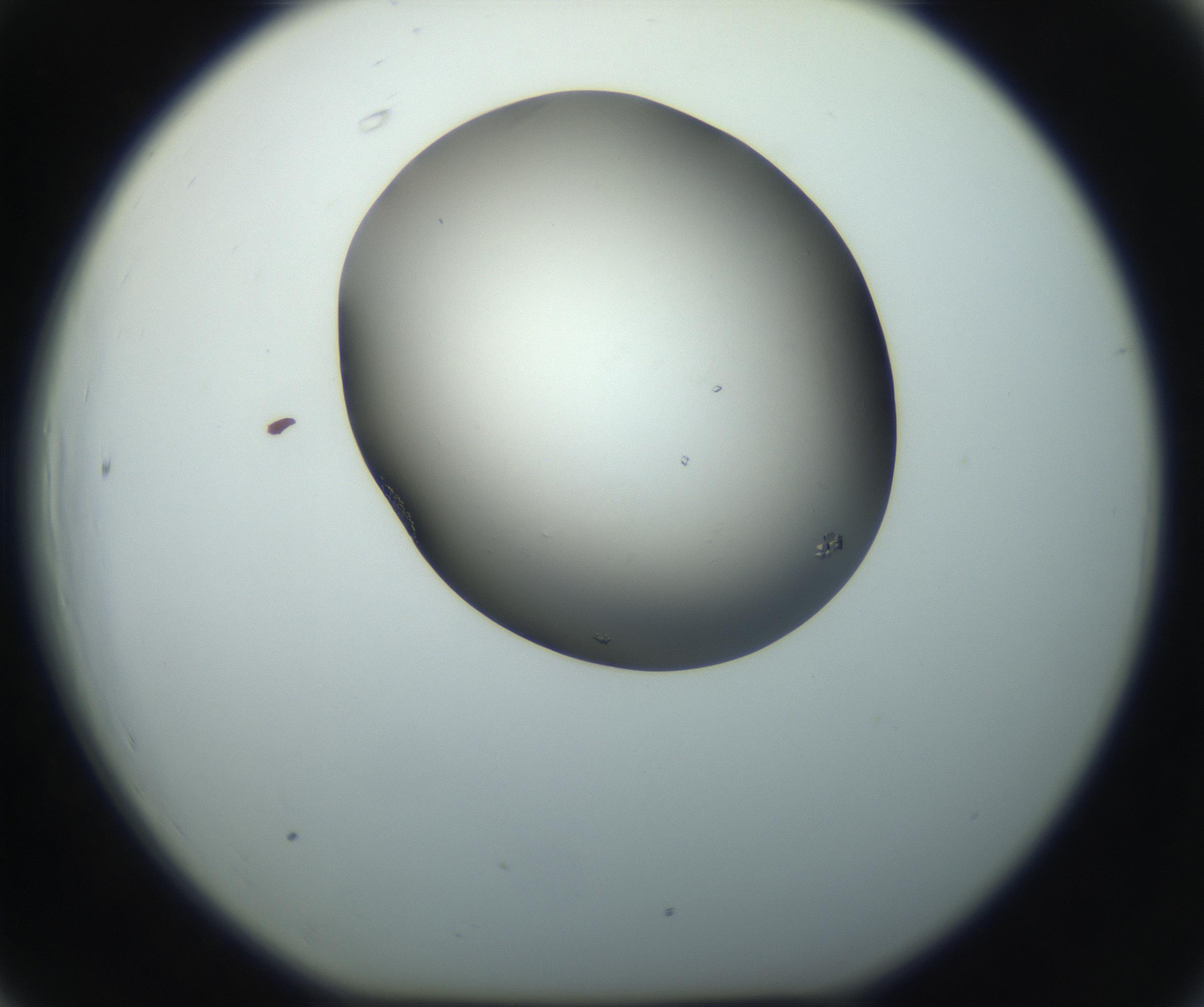RI01_03_000_0212_Proj1_Clon1_MC_0000MC102862_002_161007_06_06_01_00_99_002_001_RAI.jpg