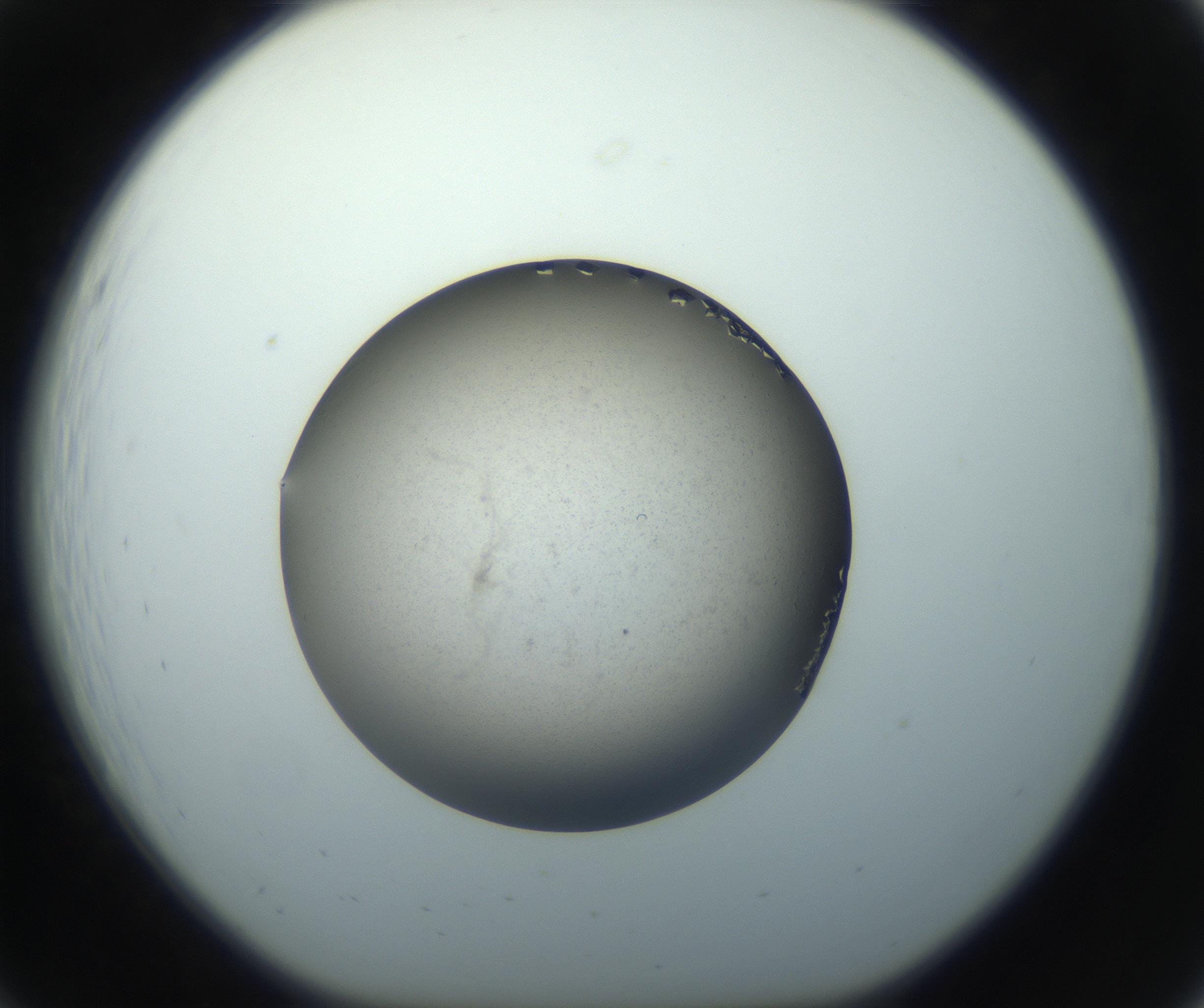 RI01_03_000_0212_Proj1_Clon1_MC_0000MC102862_002_161007_07_02_01_00_99_002_001_RAI.jpg