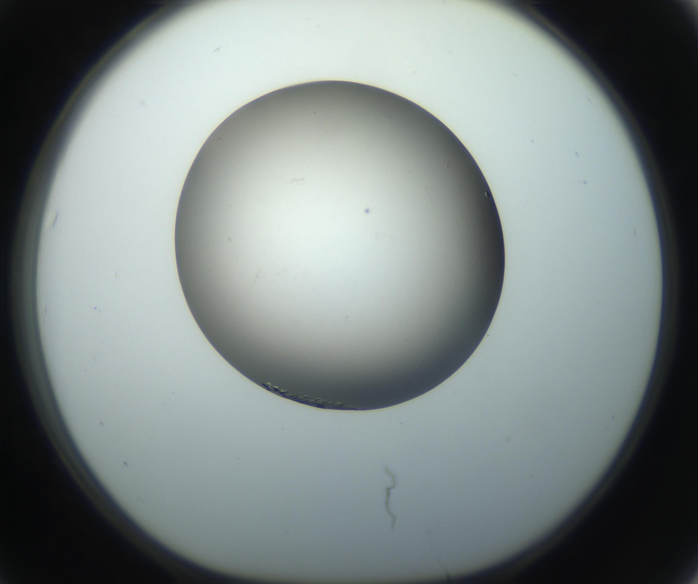 RI01_03_000_0212_Proj1_Clon1_MC_0000MC102862_002_161007_07_06_01_00_99_002_001_RAI.jpg