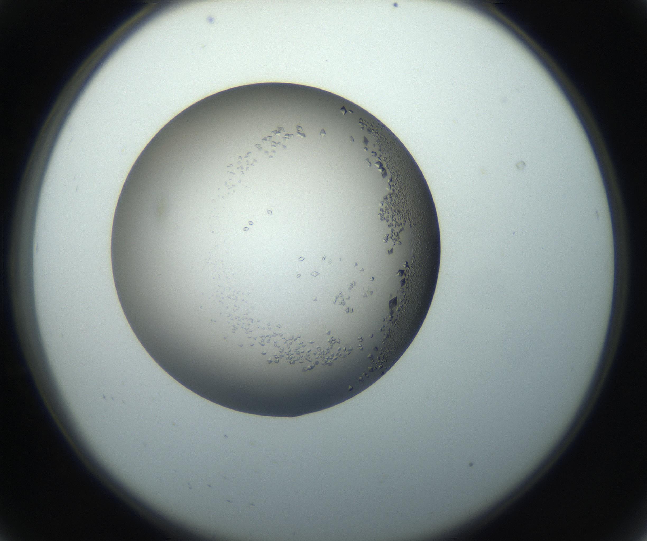 RI01_03_000_0212_Proj1_Clon1_MC_0000MC102862_002_161007_08_01_02_00_99_002_001_RAI.jpg