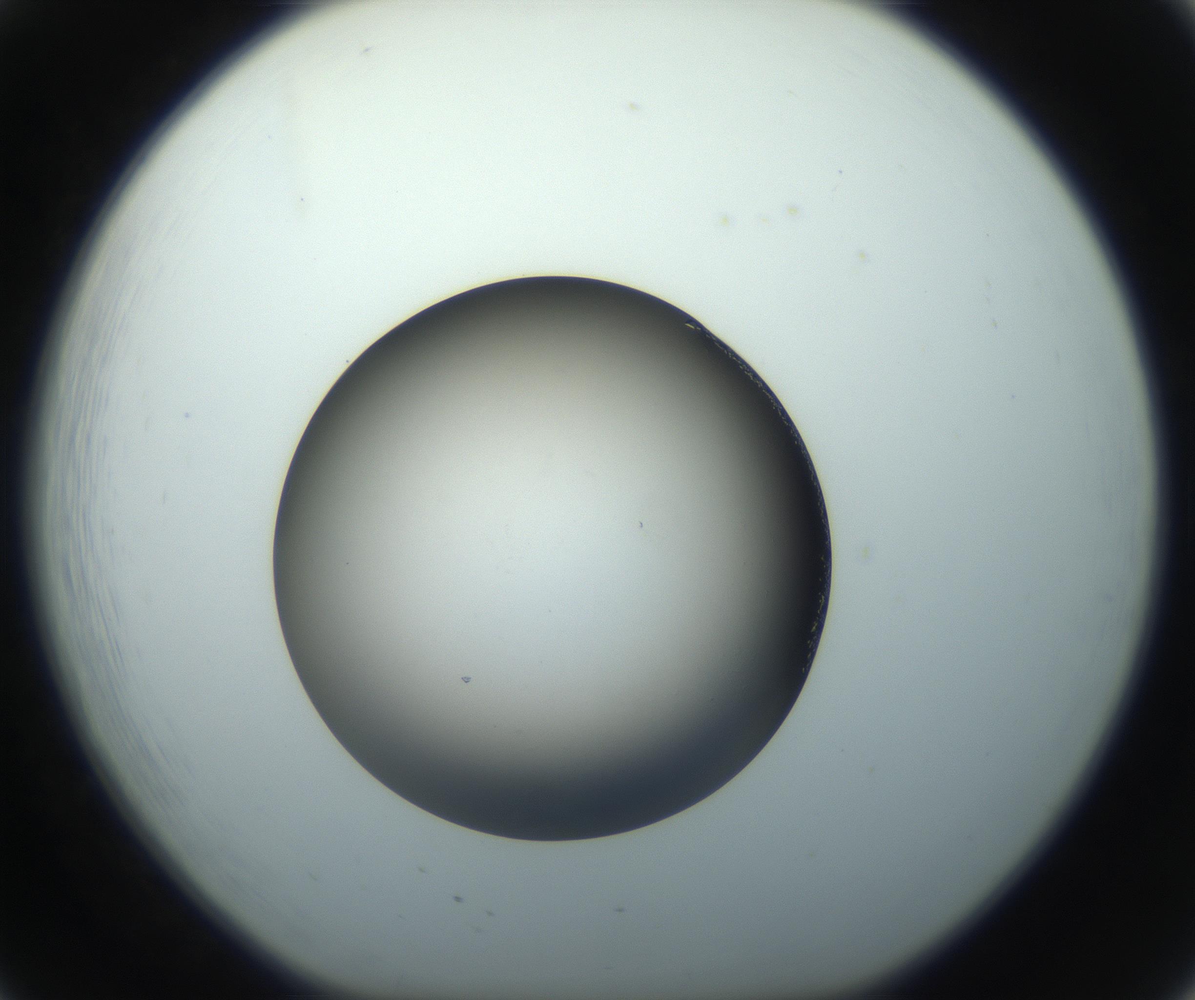 RI01_03_000_0212_Proj1_Clon1_MC_0000MC102862_002_161007_08_02_01_00_99_002_001_RAI.jpg