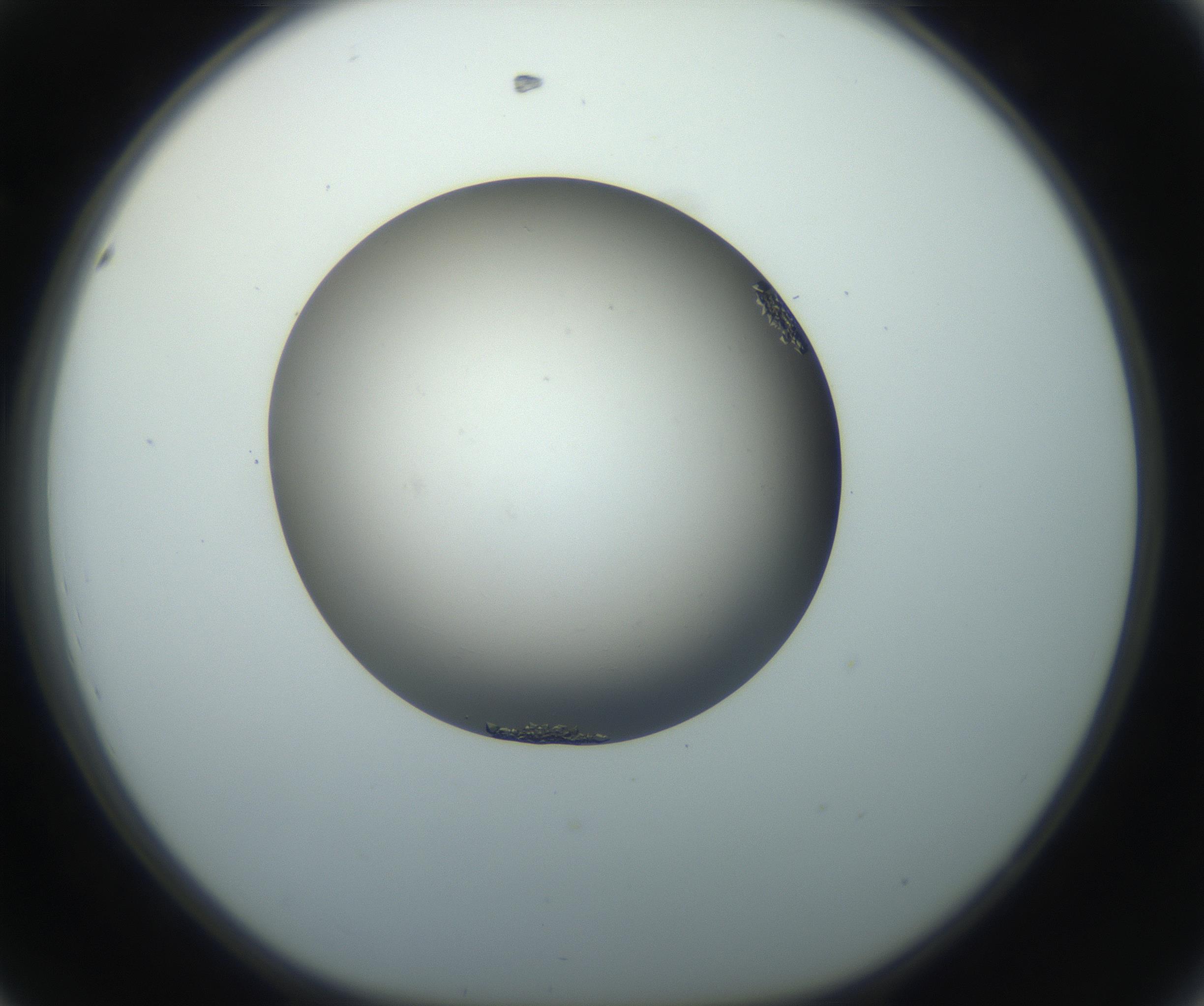 RI01_03_000_0212_Proj1_Clon1_MC_0000MC102862_002_161007_08_04_01_00_99_002_001_RAI.jpg