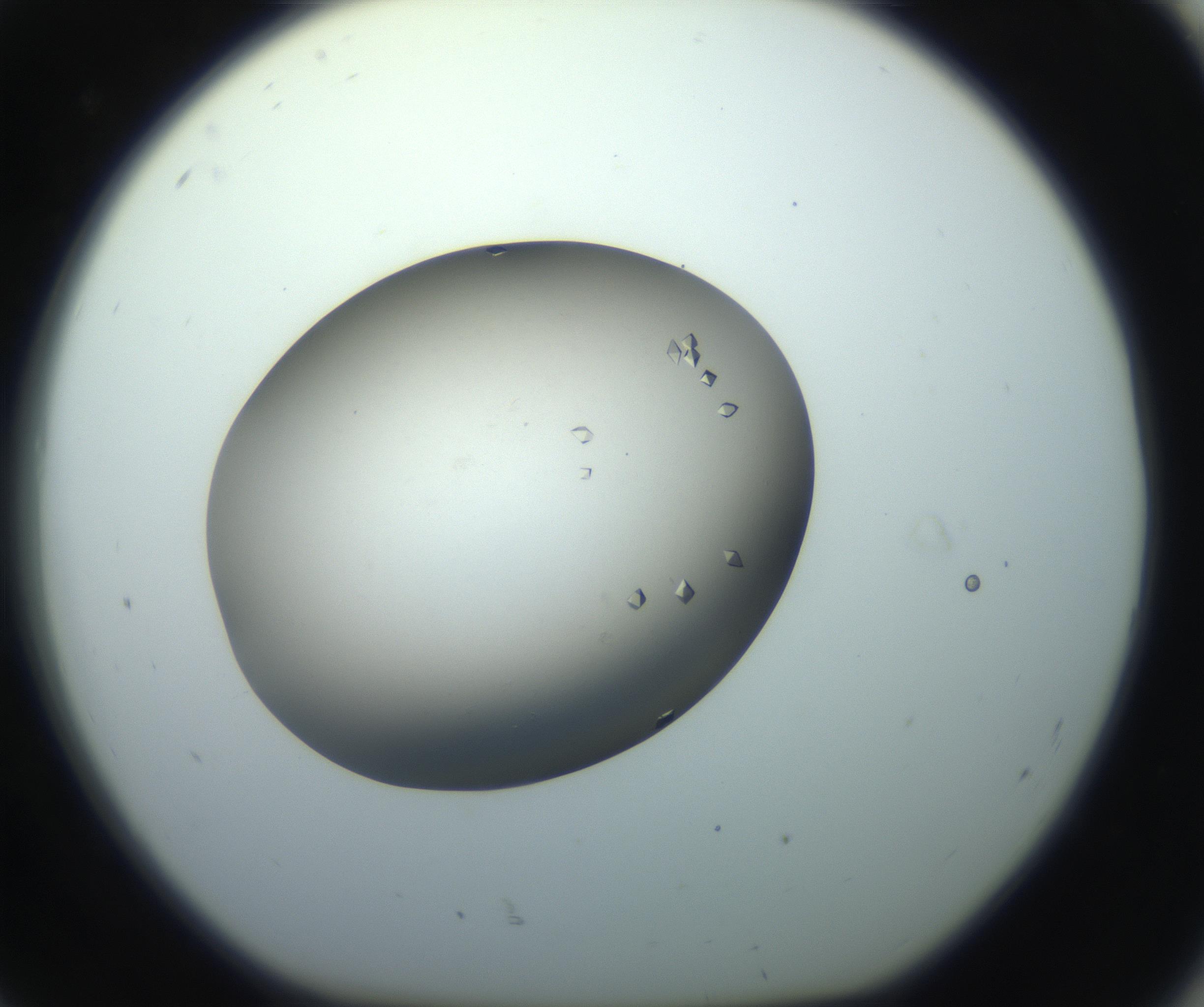 RI01_03_000_0212_Proj1_Clon1_MC_0000MC102862_002_161007_08_08_01_00_99_002_001_RAI.jpg