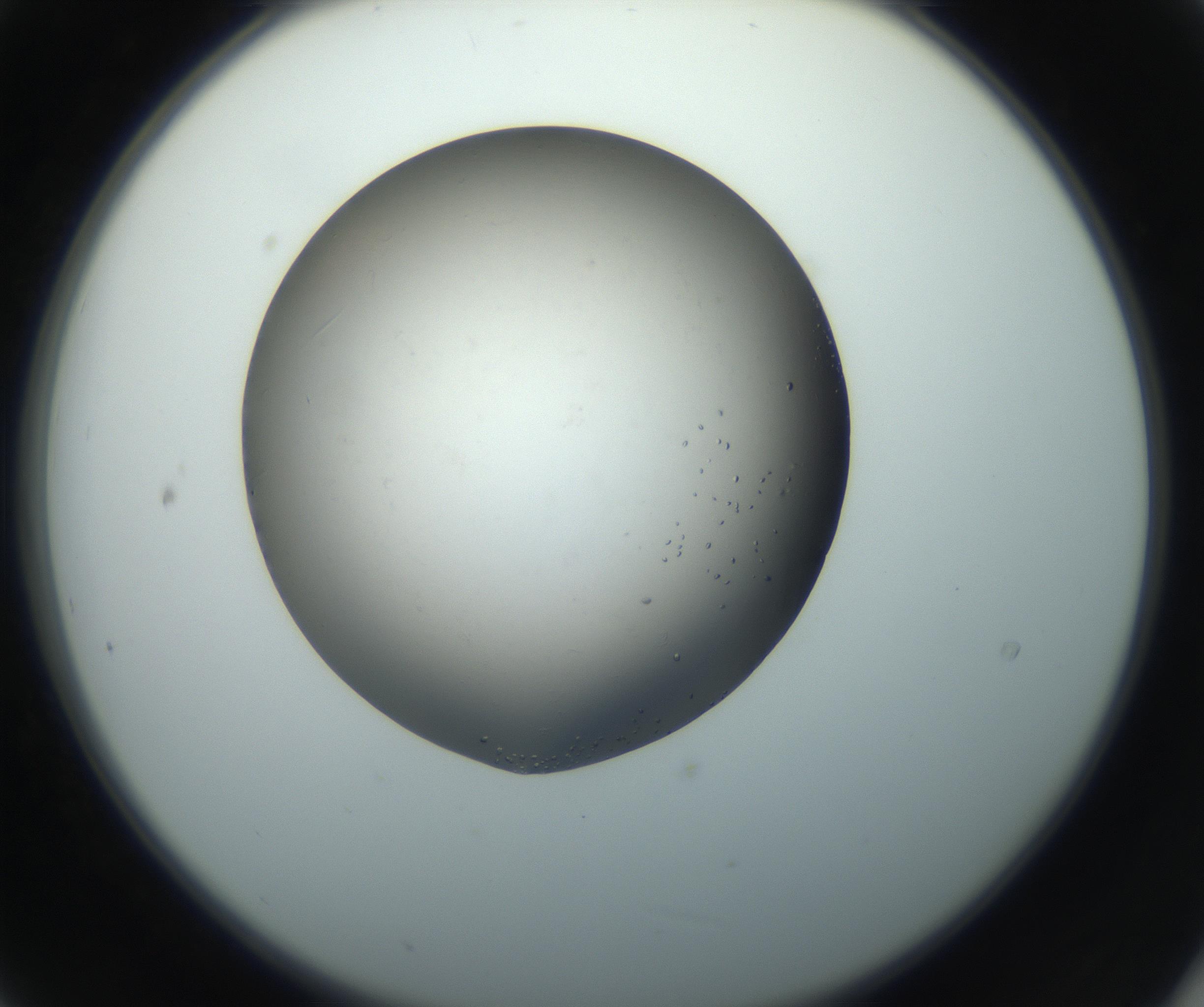 RI01_03_000_0212_Proj1_Clon1_MC_0000MC102862_002_161007_09_02_02_00_99_002_001_RAI.jpg