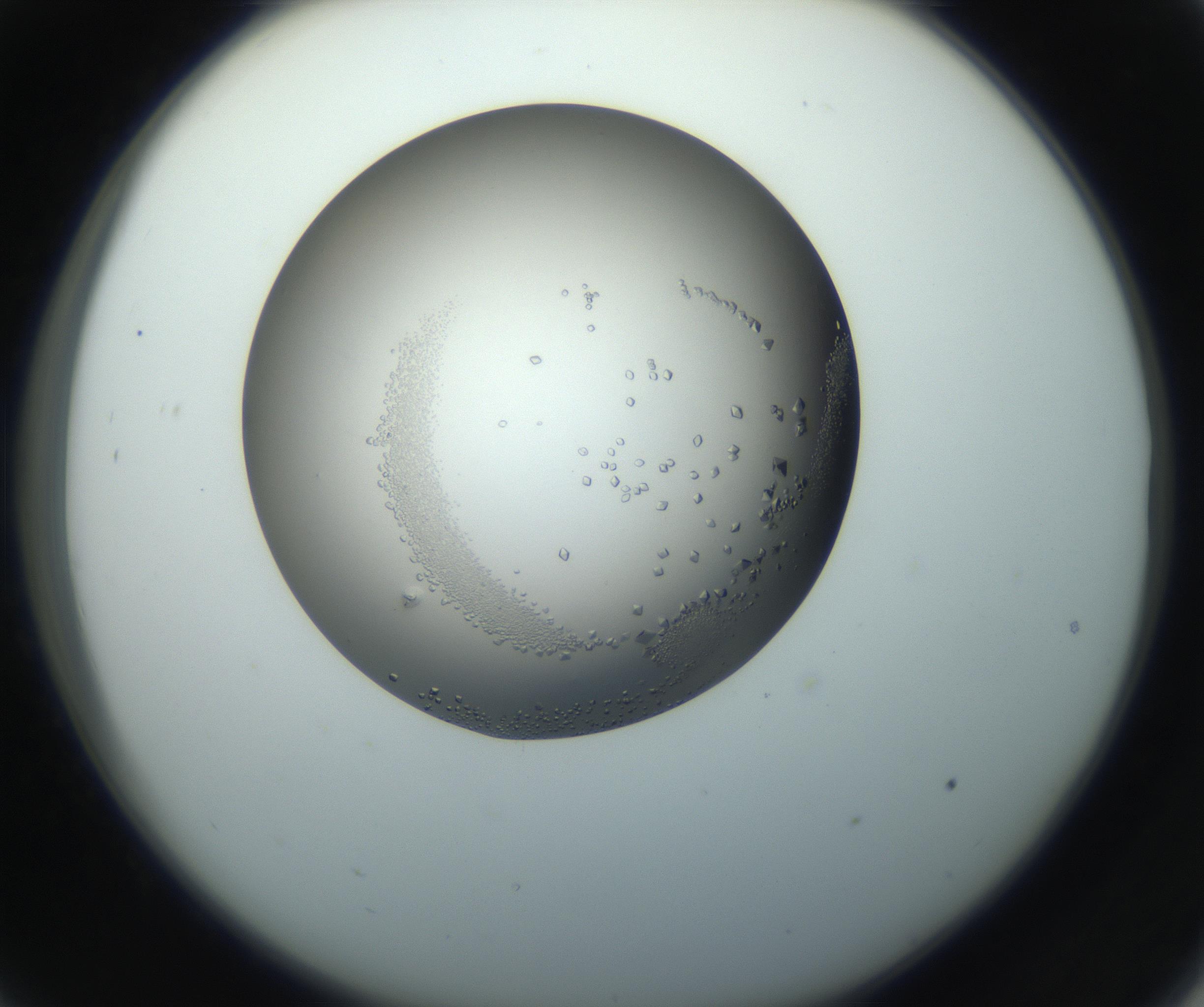 RI01_03_000_0212_Proj1_Clon1_MC_0000MC102862_002_161007_09_03_02_00_99_002_001_RAI.jpg