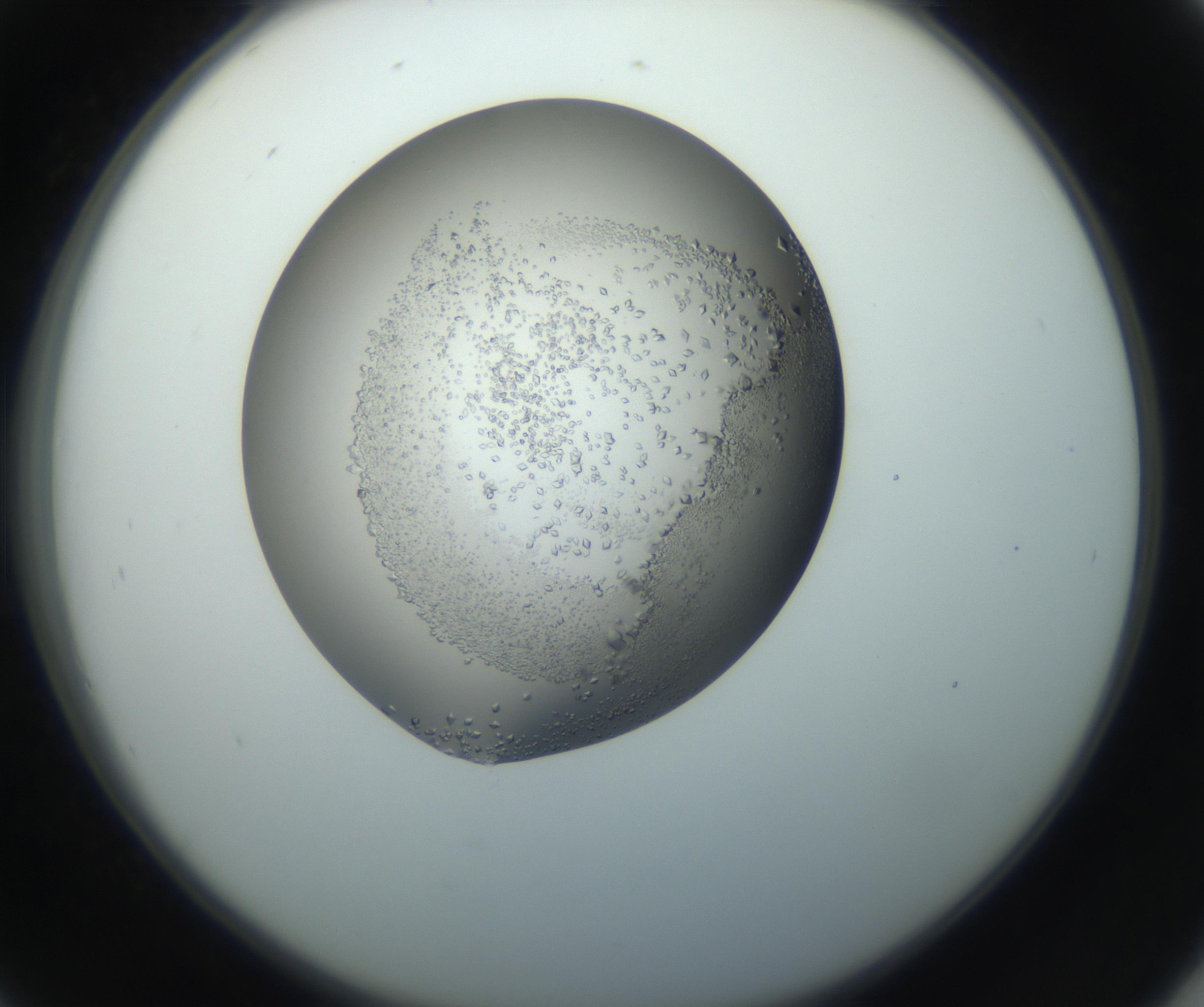 RI01_03_000_0212_Proj1_Clon1_MC_0000MC102862_002_161007_09_04_02_00_99_002_001_RAI.jpg