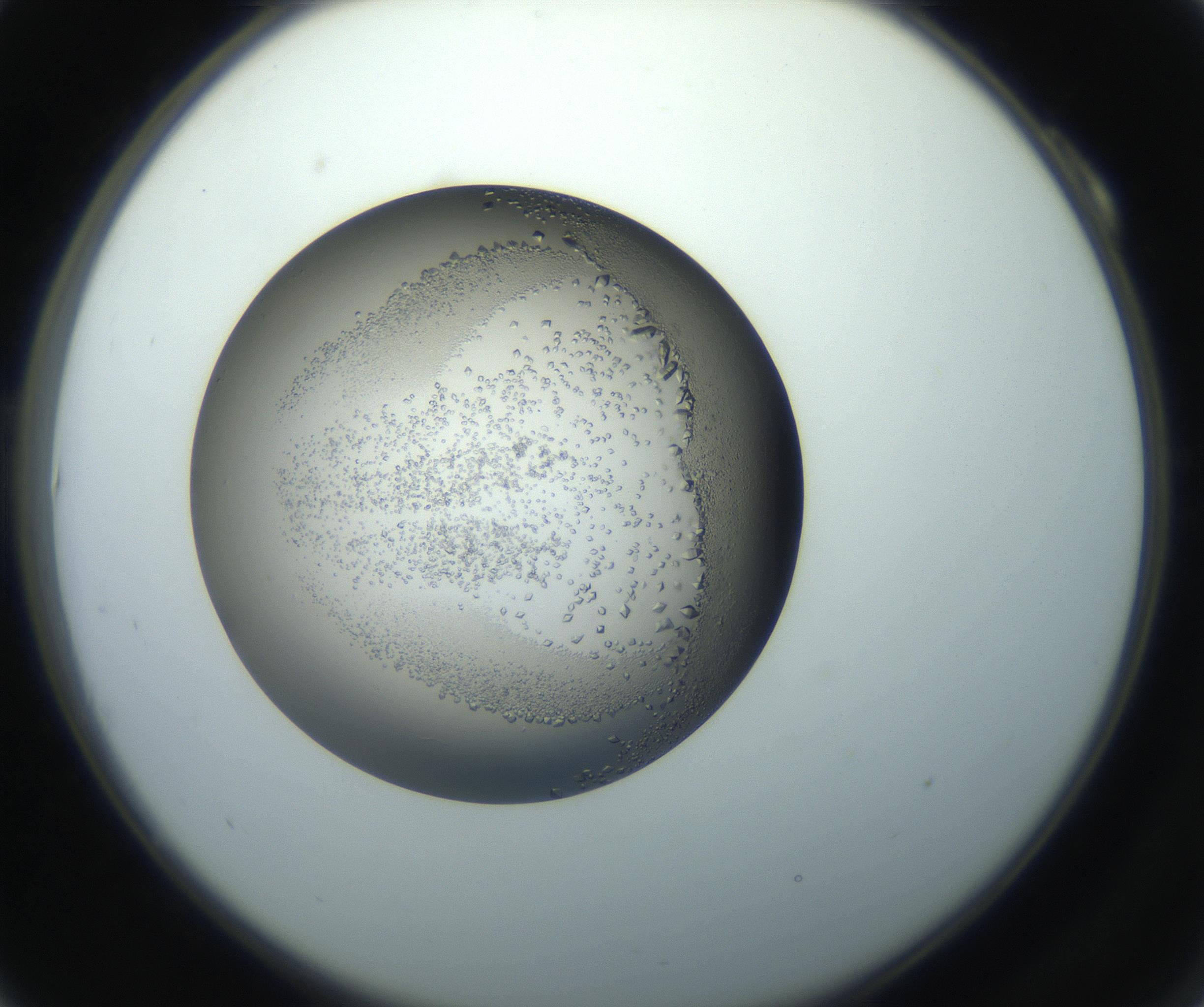 RI01_03_000_0212_Proj1_Clon1_MC_0000MC102862_002_161007_10_01_02_00_99_002_001_RAI.jpg
