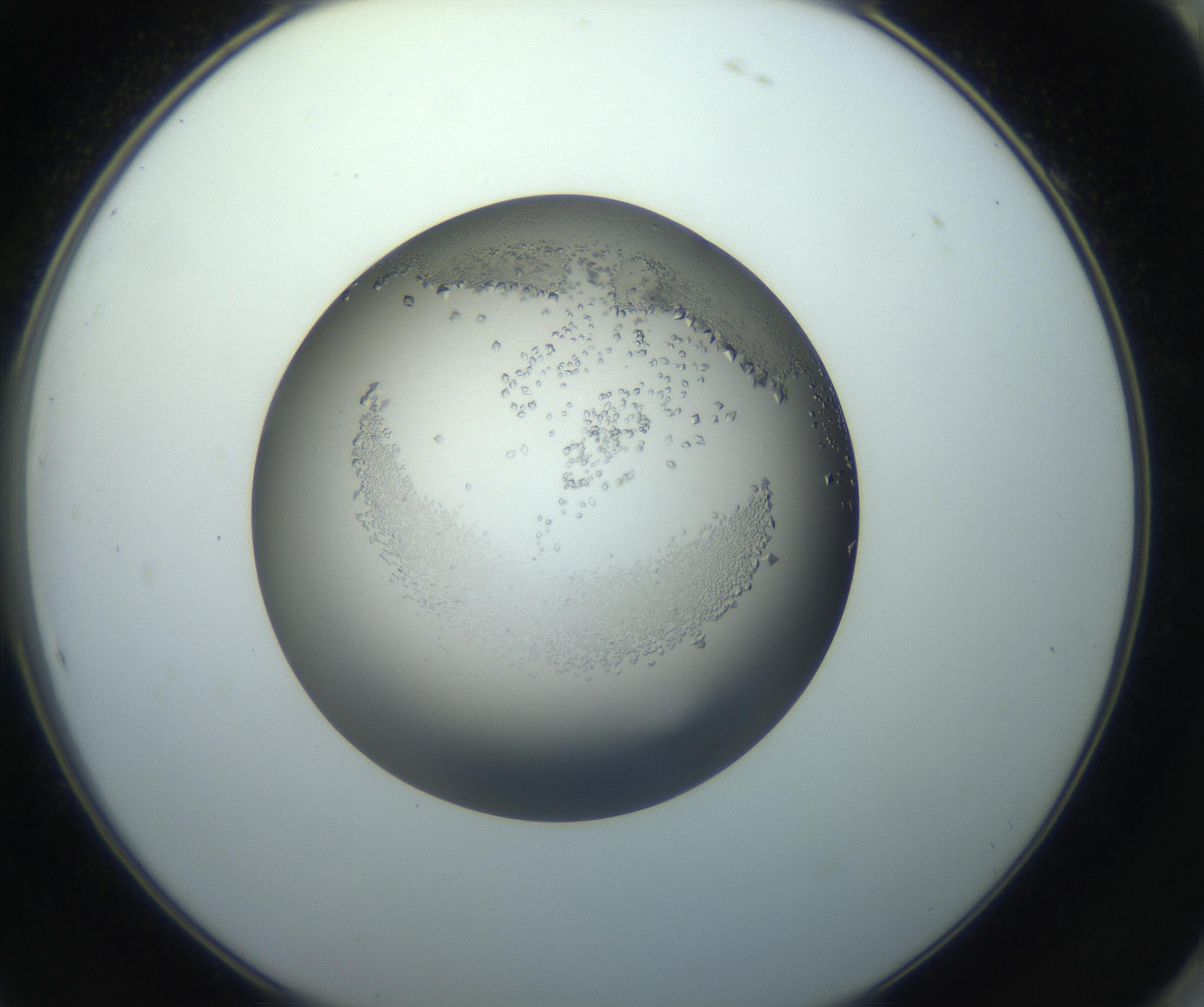 RI01_03_000_0212_Proj1_Clon1_MC_0000MC102862_002_161007_10_08_02_00_99_002_001_RAI.jpg