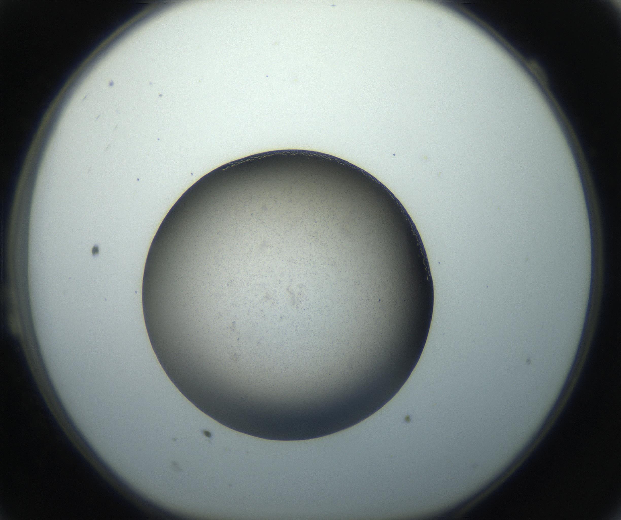 RI01_03_000_0212_Proj1_Clon1_MC_0000MC102862_002_161007_11_02_01_00_99_002_001_RAI.jpg