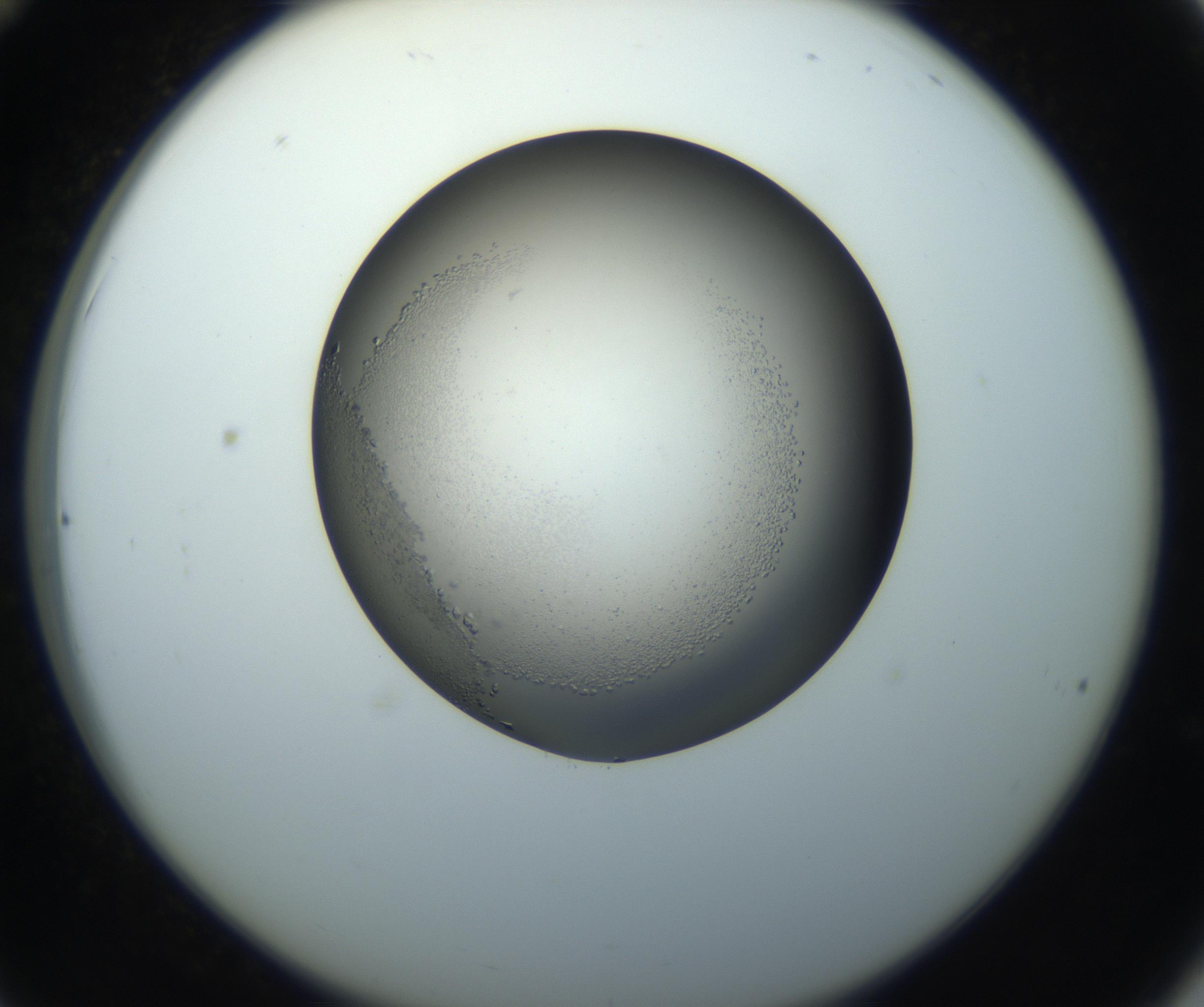 RI01_03_000_0212_Proj1_Clon1_MC_0000MC102862_002_161007_12_03_02_00_99_002_001_RAI.jpg