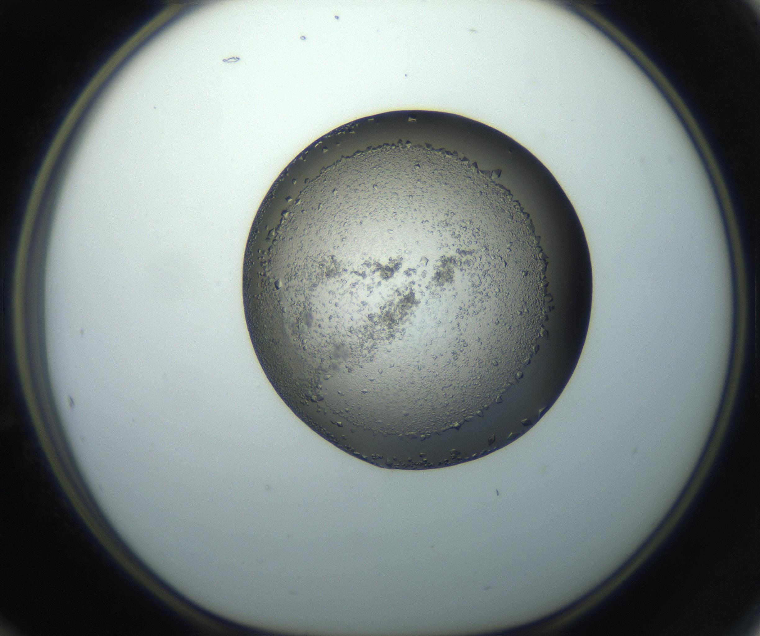 RI01_03_000_0212_Proj1_Clon1_MC_0000MC102862_002_161007_12_05_01_00_99_002_001_RAI.jpg