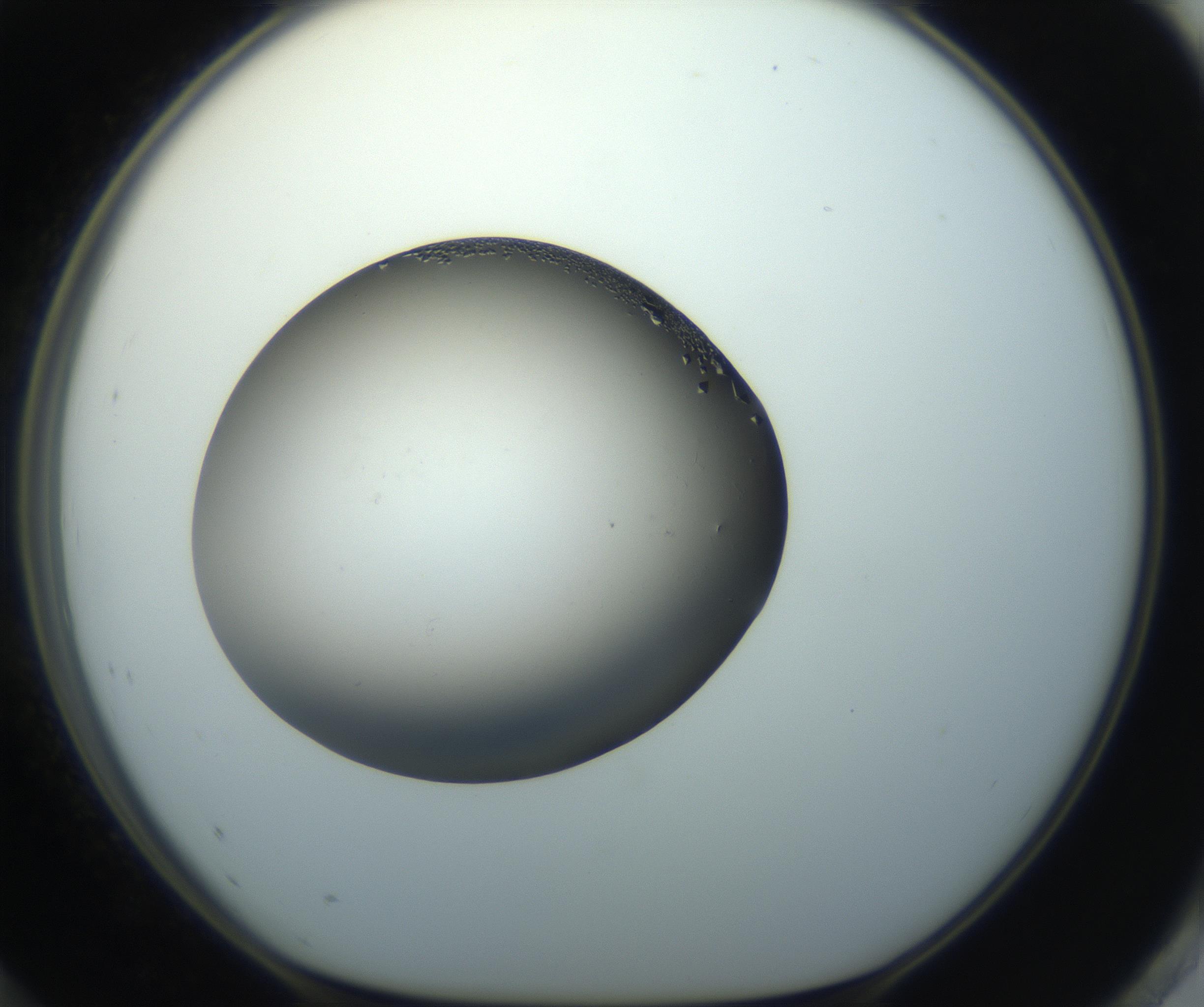RI01_03_000_0212_Proj1_Clon1_MC_0000MC102862_002_161007_12_08_01_00_99_002_001_RAI.jpg