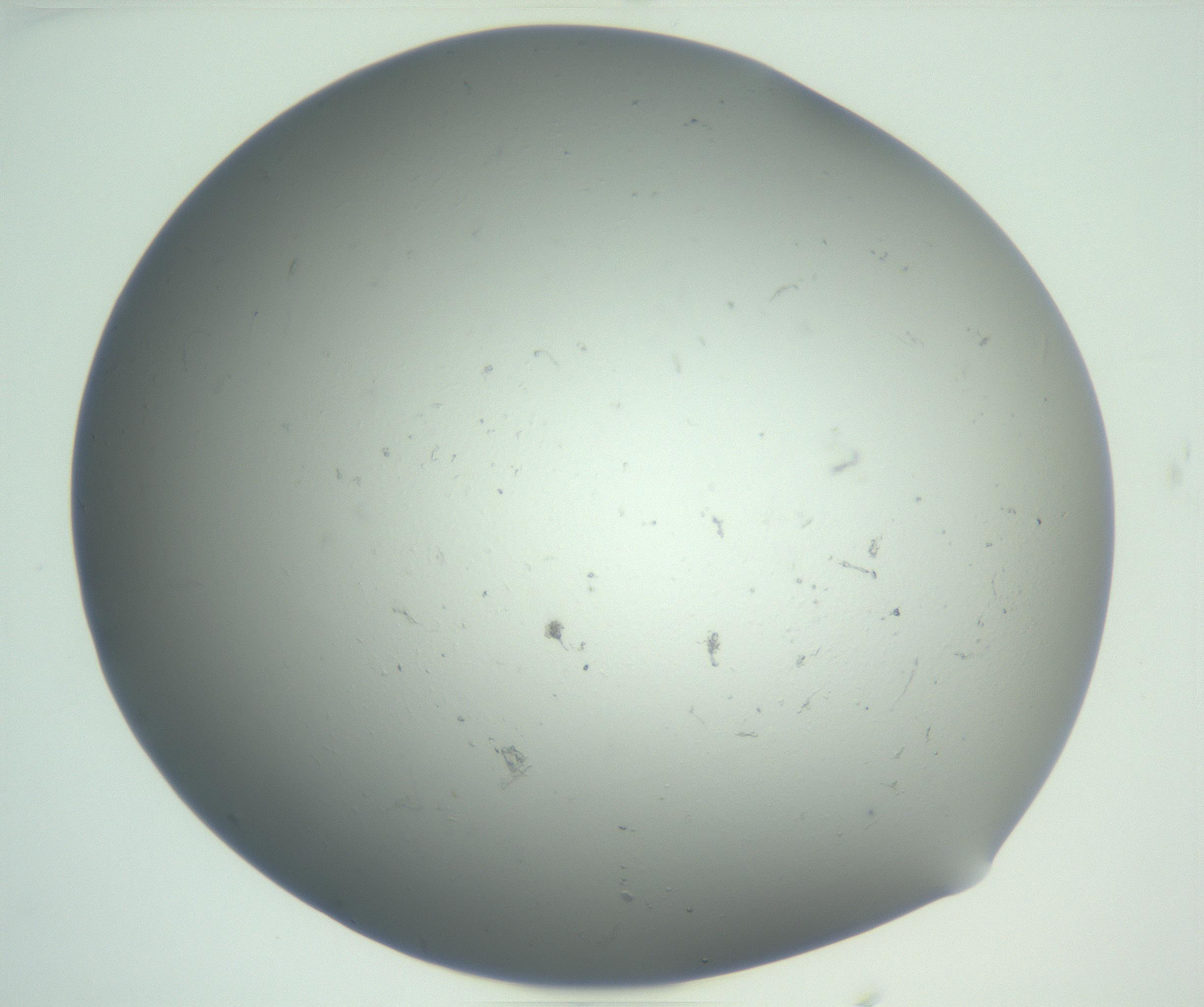 RI01_03_000_0212_Proj1_Clon1_MC_0000MC102864_003_161022_01_02_01_00_99_002_001_RAI.jpg