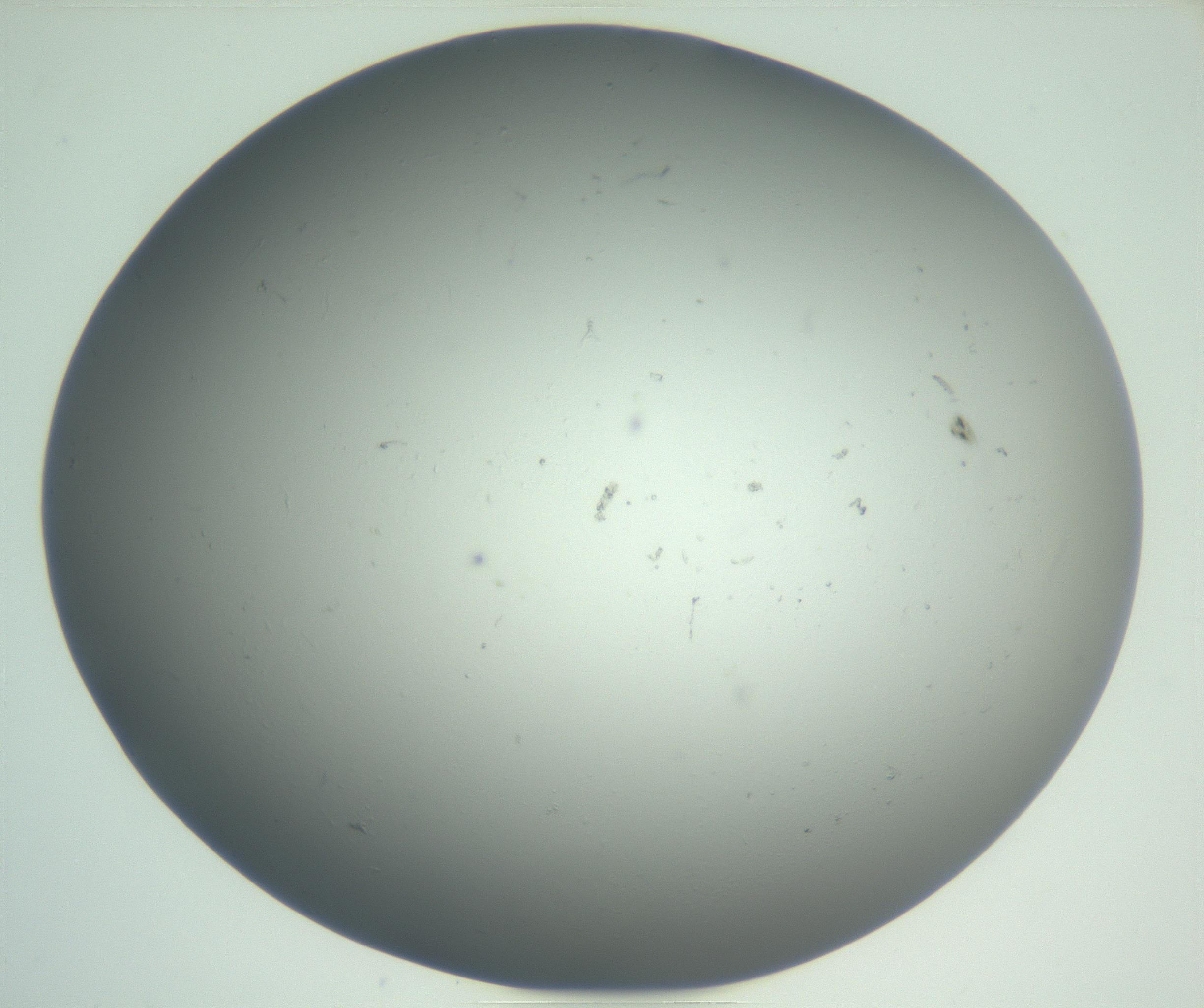 RI01_03_000_0212_Proj1_Clon1_MC_0000MC102864_003_161022_01_02_02_00_99_002_001_RAI.jpg