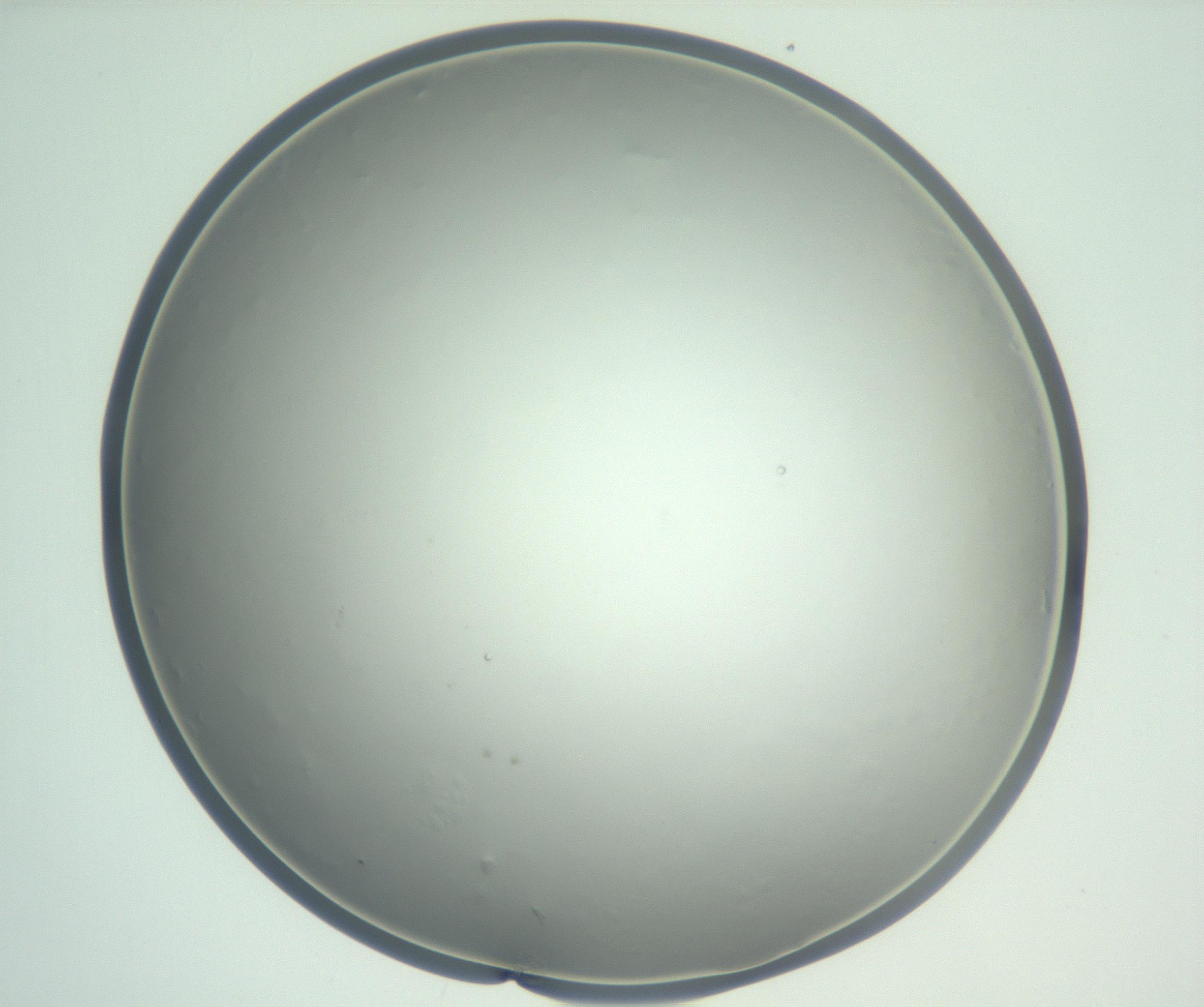 RI01_03_000_0212_Proj1_Clon1_MC_0000MC102864_003_161022_01_03_01_00_99_002_001_RAI.jpg
