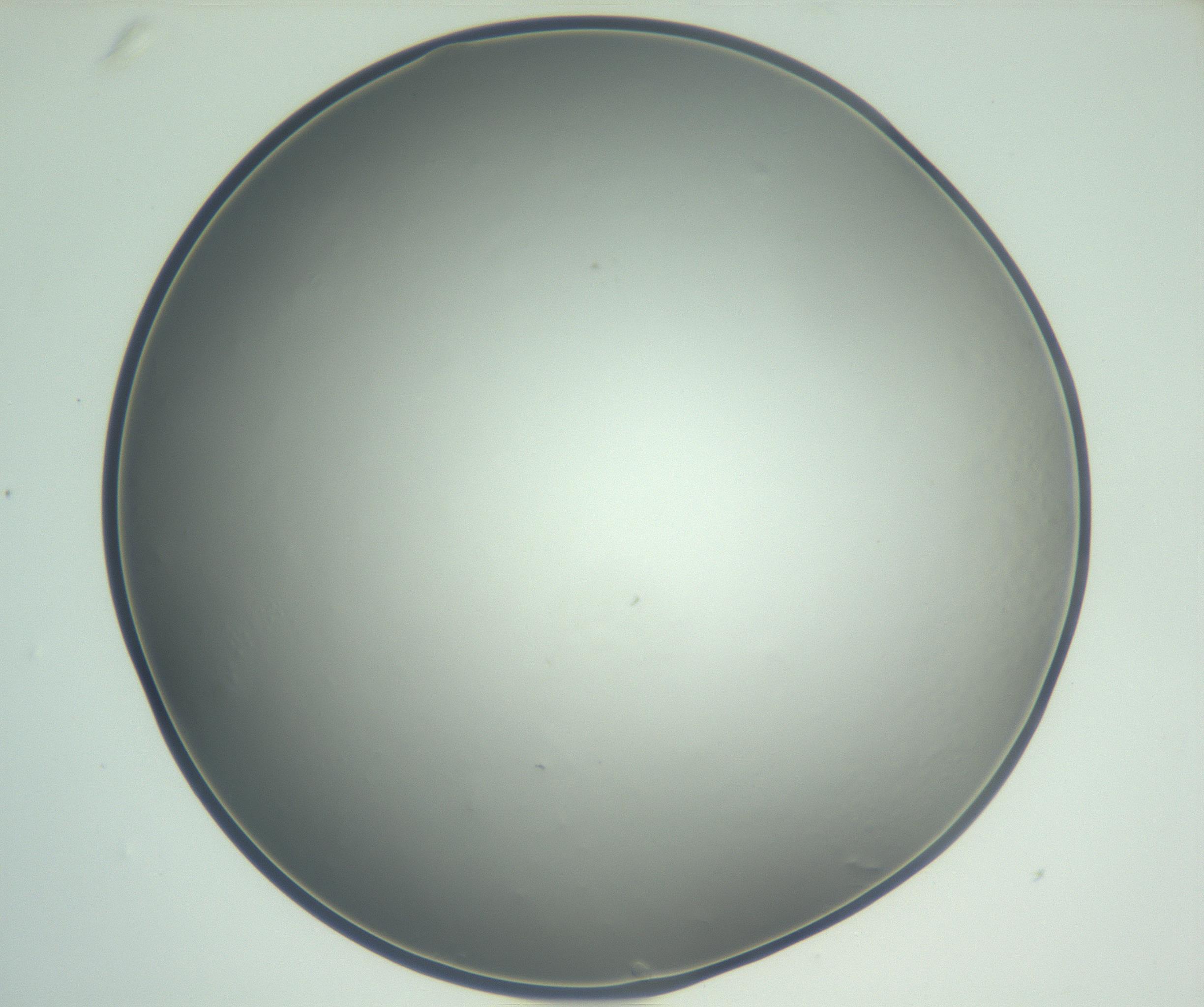 RI01_03_000_0212_Proj1_Clon1_MC_0000MC102864_003_161022_01_03_02_00_99_002_001_RAI.jpg