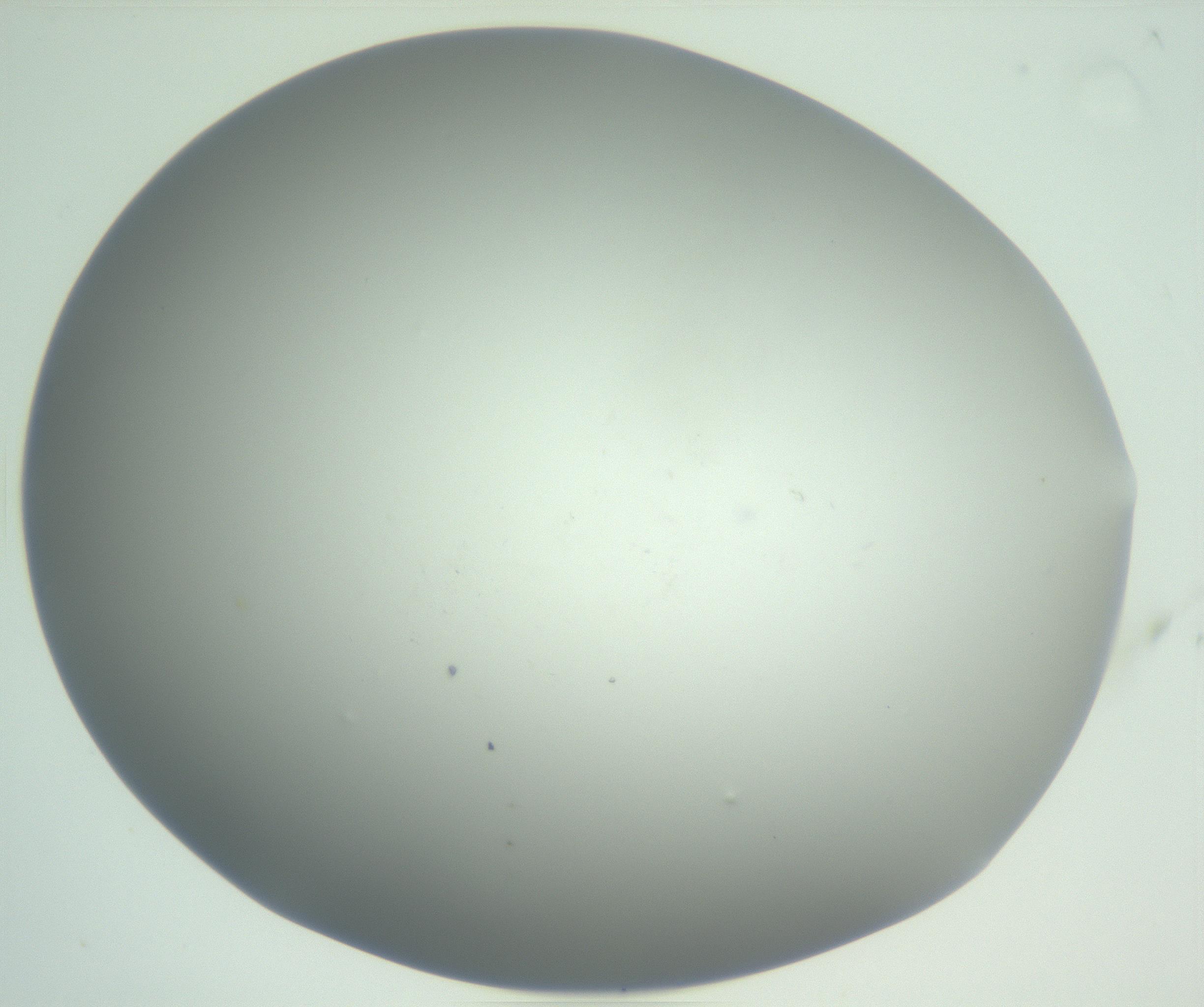 RI01_03_000_0212_Proj1_Clon1_MC_0000MC102864_003_161022_01_04_01_00_99_002_001_RAI.jpg