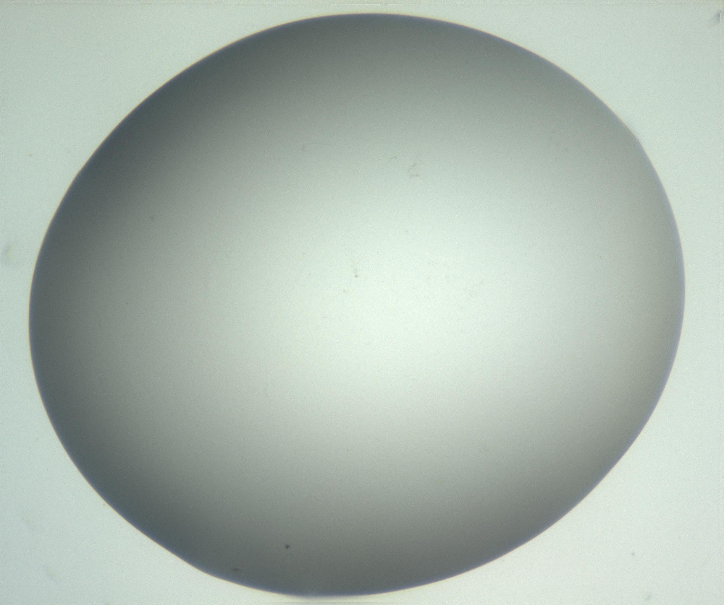 RI01_03_000_0212_Proj1_Clon1_MC_0000MC102864_003_161022_01_04_02_00_99_002_001_RAI.jpg