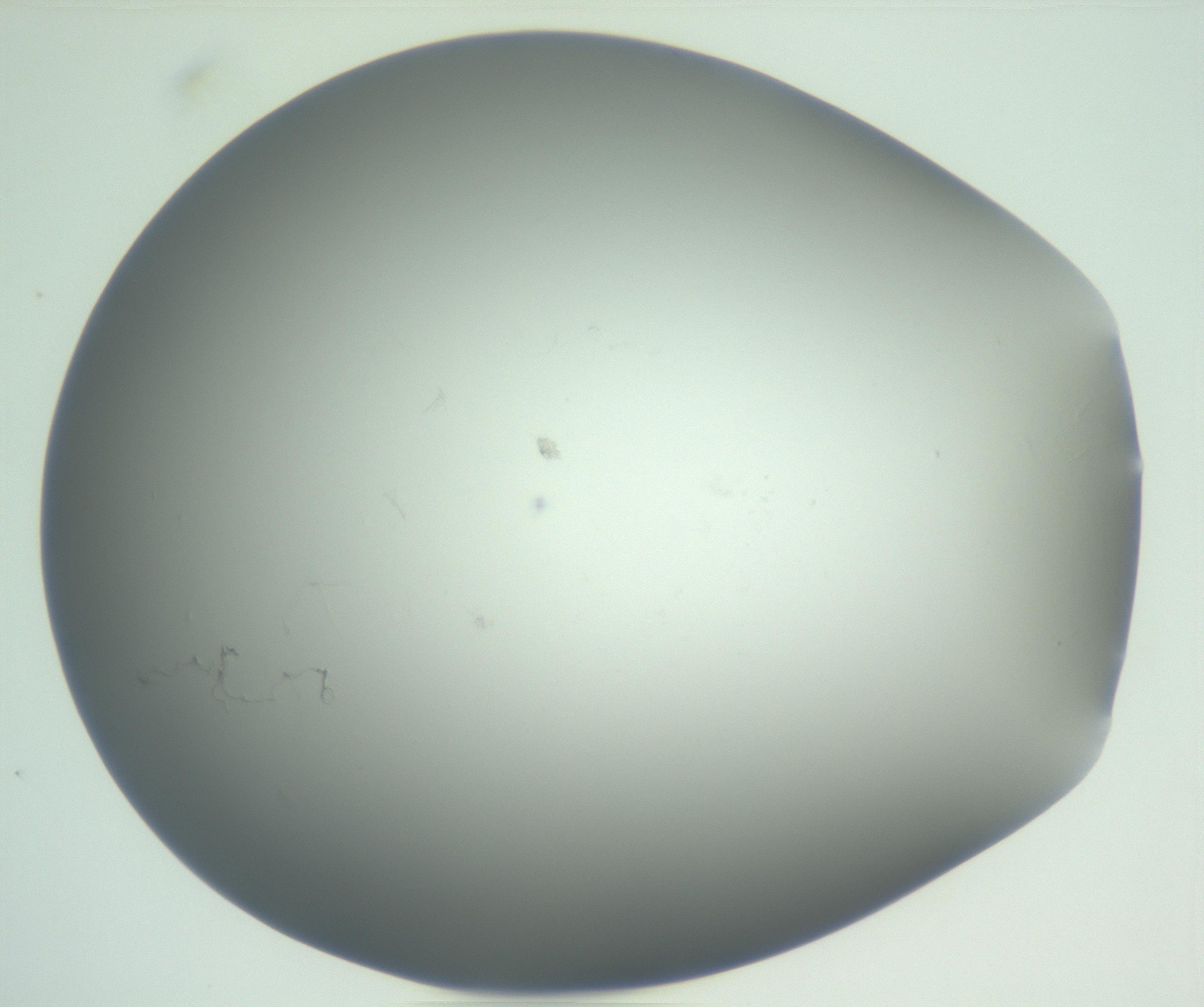 RI01_03_000_0212_Proj1_Clon1_MC_0000MC102864_003_161022_01_05_01_00_99_002_001_RAI.jpg