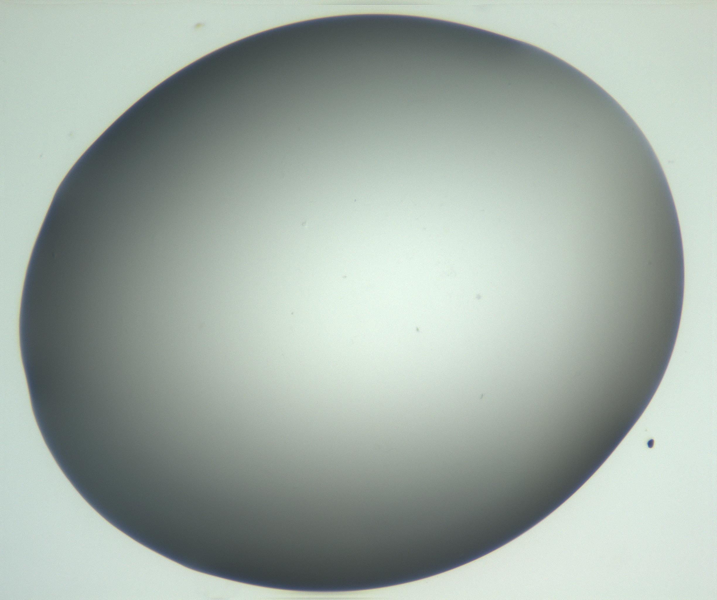 RI01_03_000_0212_Proj1_Clon1_MC_0000MC102864_003_161022_01_05_02_00_99_002_001_RAI.jpg