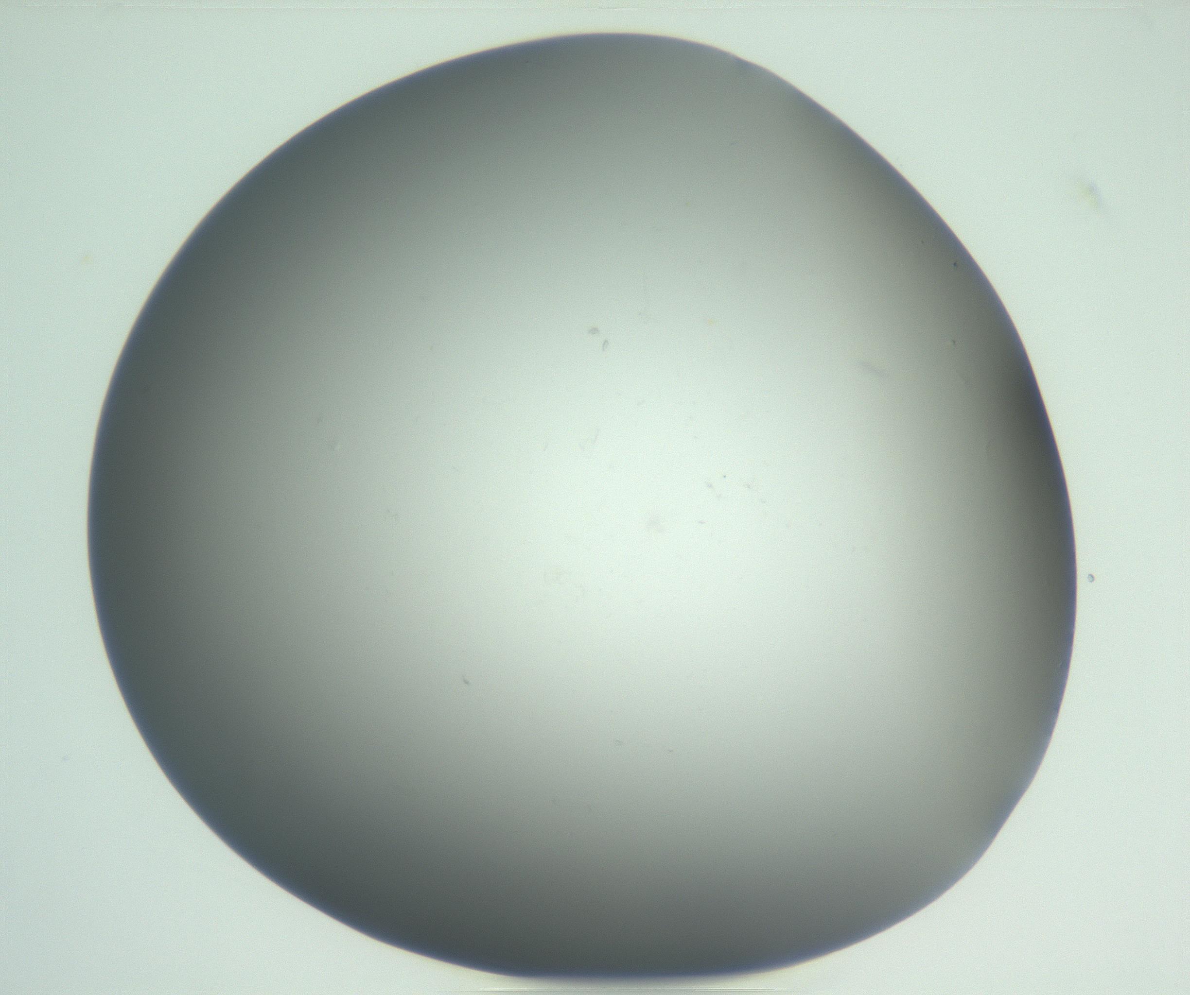 RI01_03_000_0212_Proj1_Clon1_MC_0000MC102864_003_161022_01_06_01_00_99_002_001_RAI.jpg