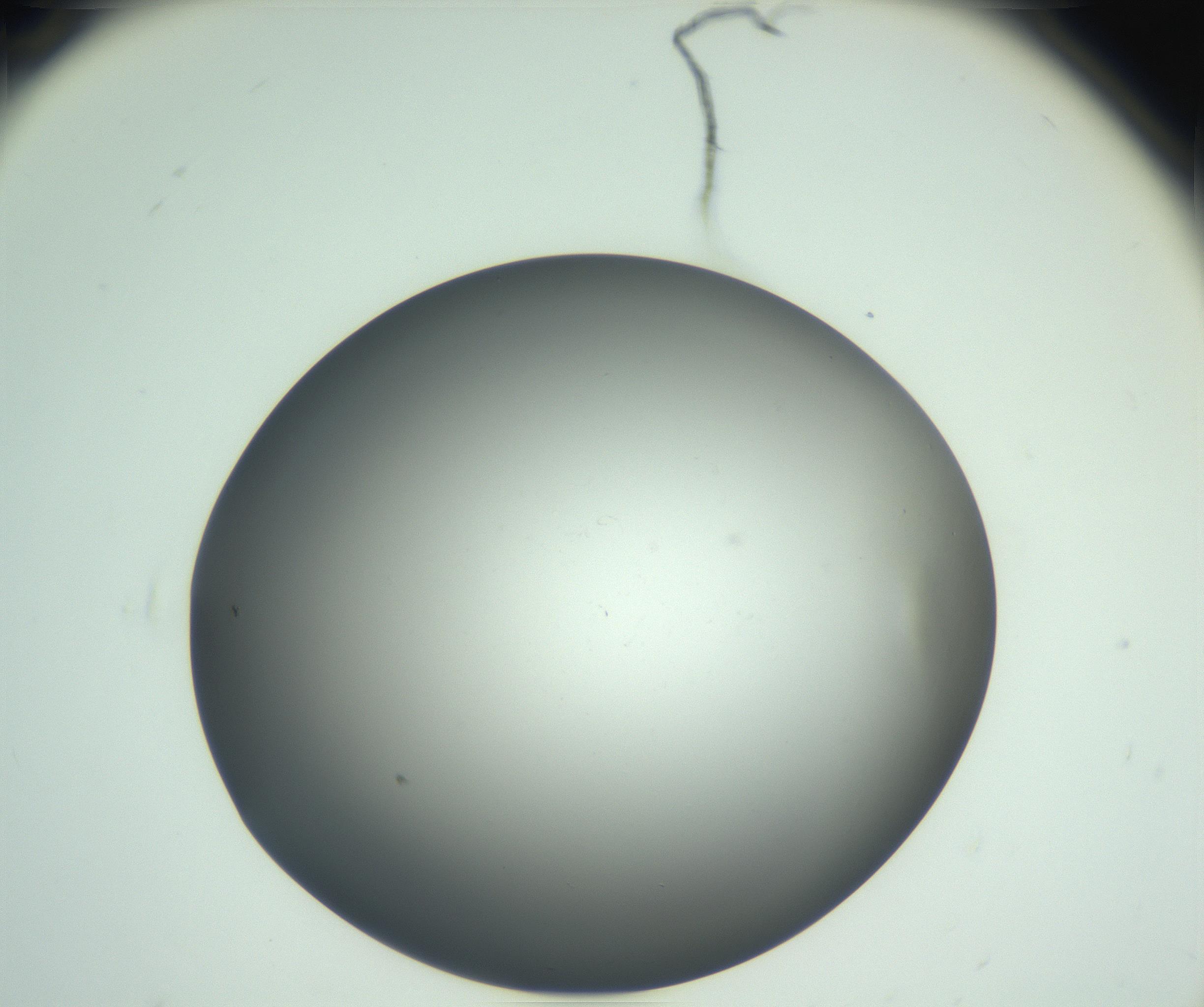 RI01_03_000_0212_Proj1_Clon1_MC_0000MC102864_003_161022_01_06_02_00_99_002_001_RAI.jpg