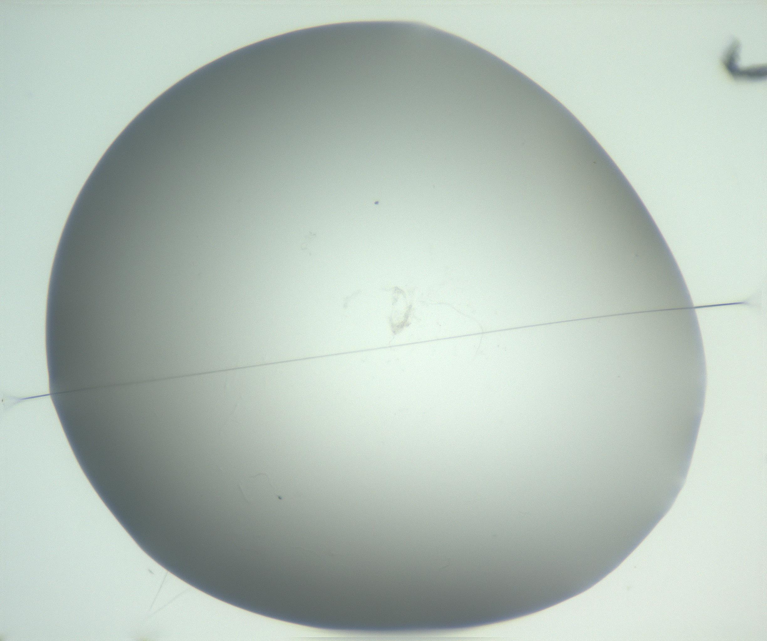 RI01_03_000_0212_Proj1_Clon1_MC_0000MC102864_003_161022_02_01_01_00_99_002_001_RAI.jpg