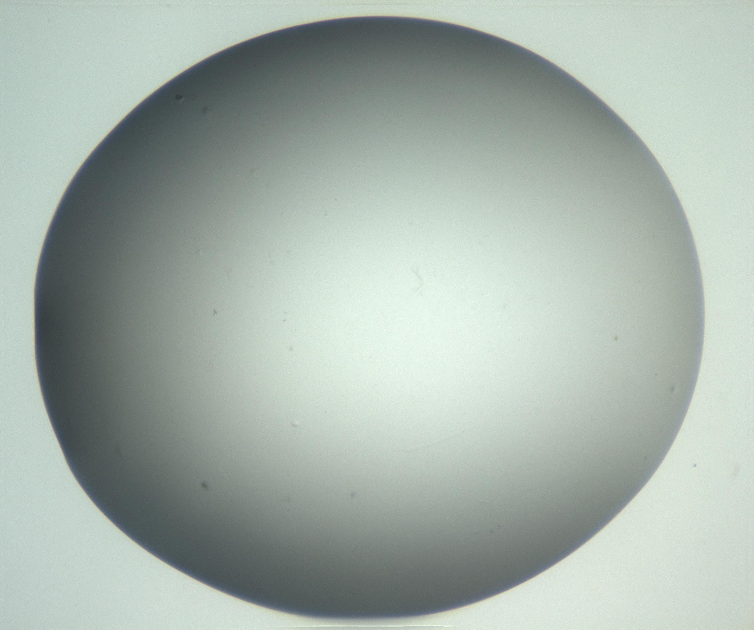 RI01_03_000_0212_Proj1_Clon1_MC_0000MC102864_003_161022_02_01_02_00_99_002_001_RAI.jpg
